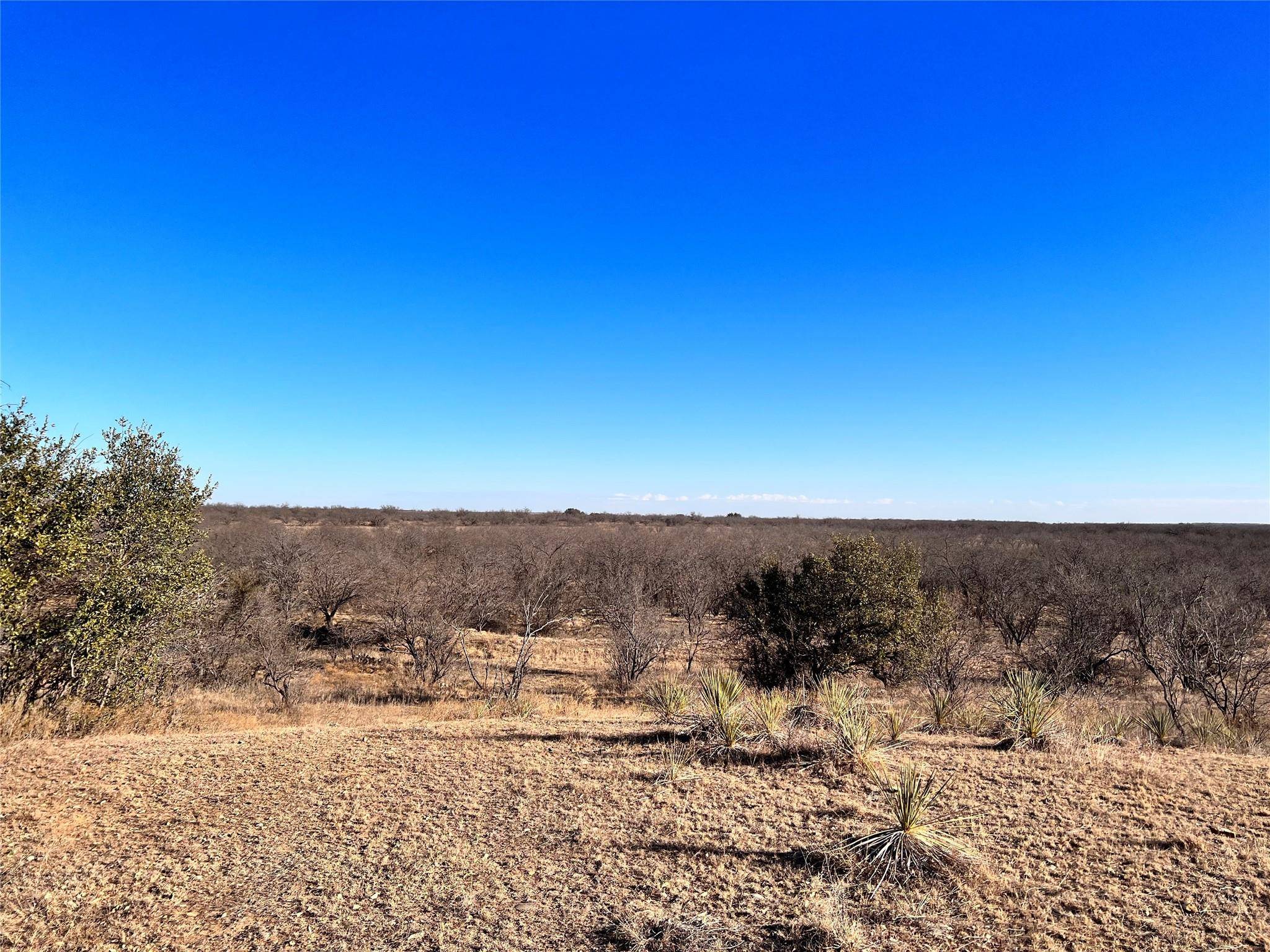 Albany, TX 76430,TBD FM 601 #3A