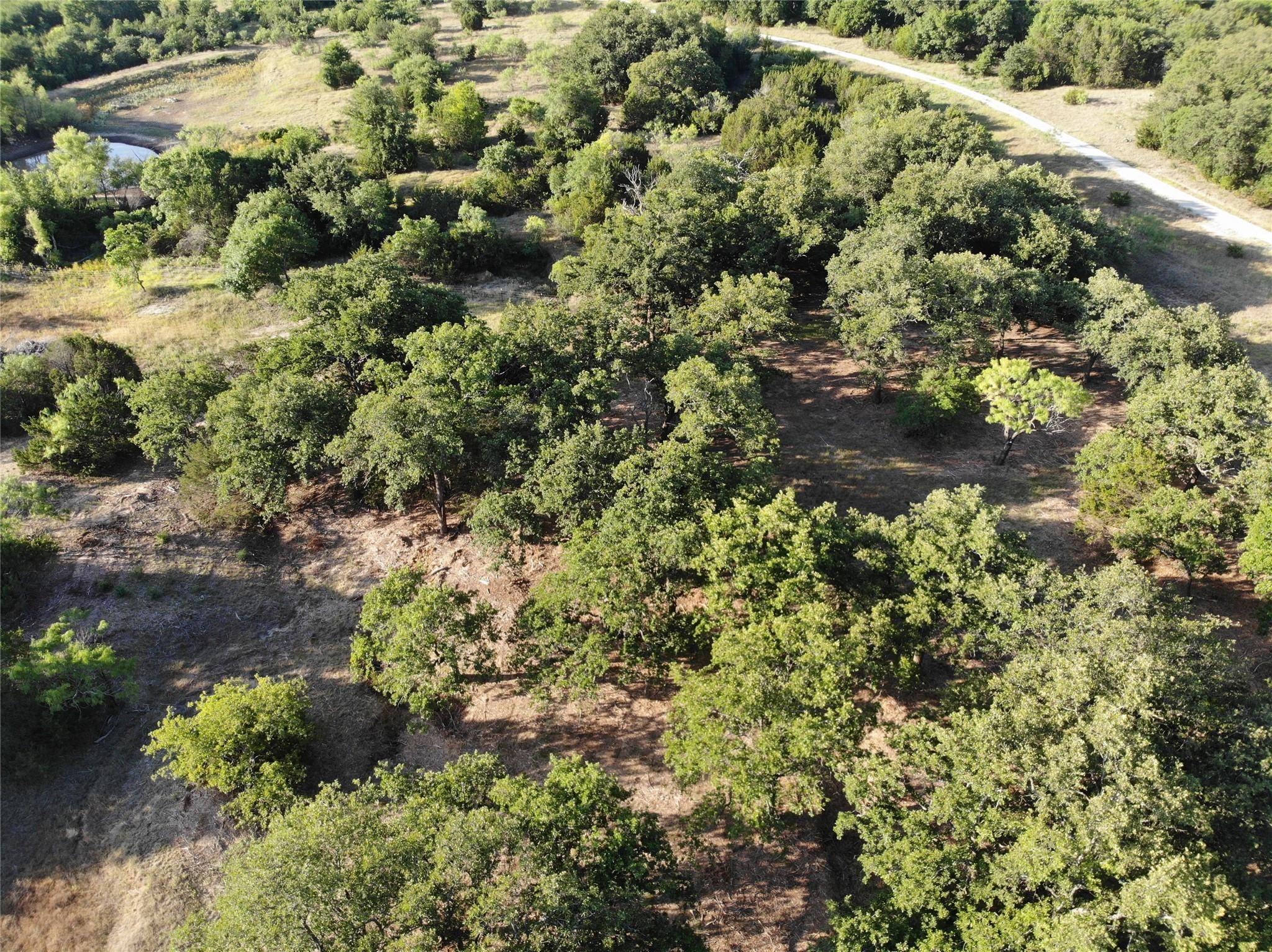 Desdemona, TX 76445,Tract 37 CR 493