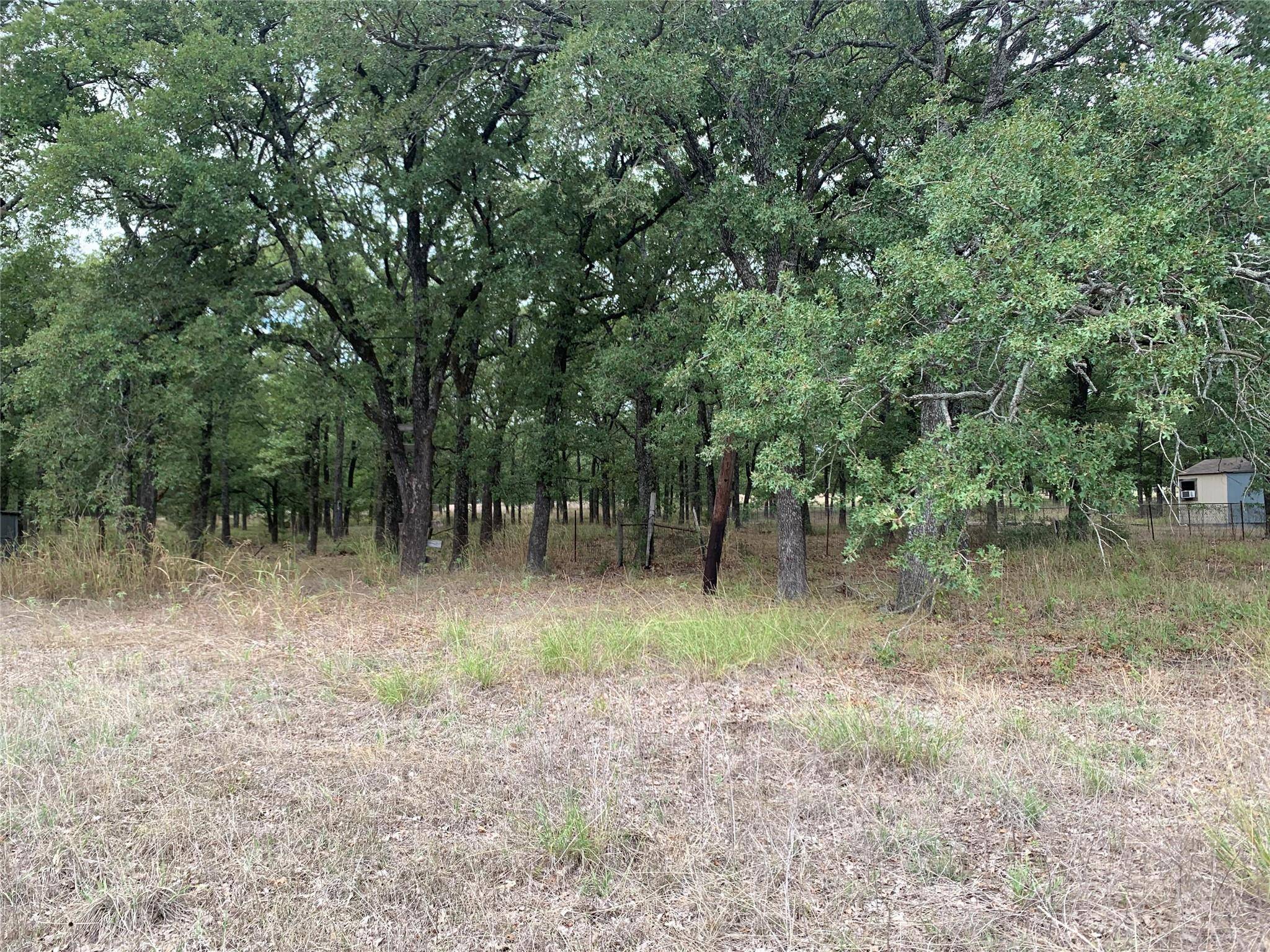 Frost, TX 76641,3381 County Road 4200