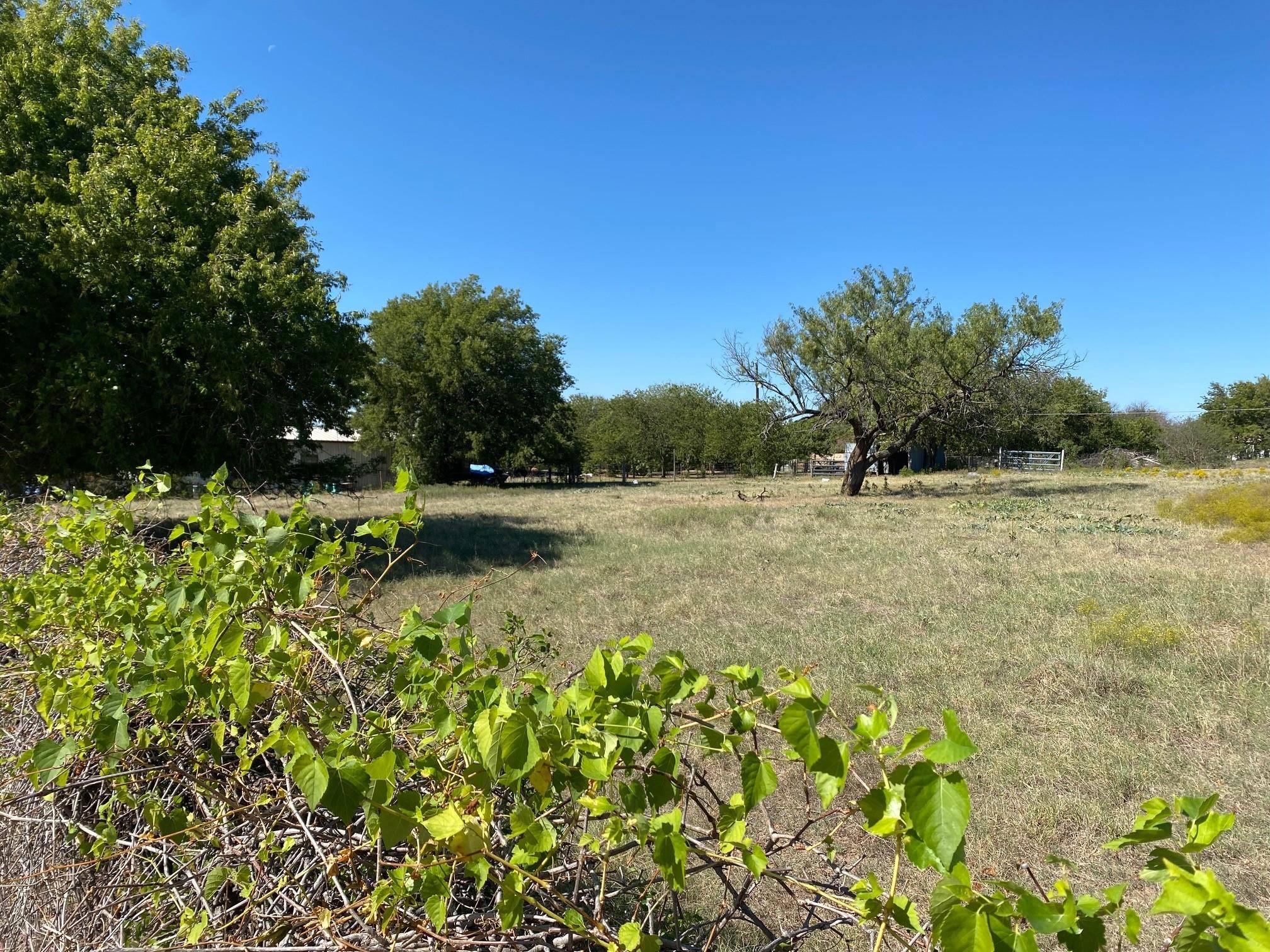 Willow Park, TX 76087,TBD Scenic Trail