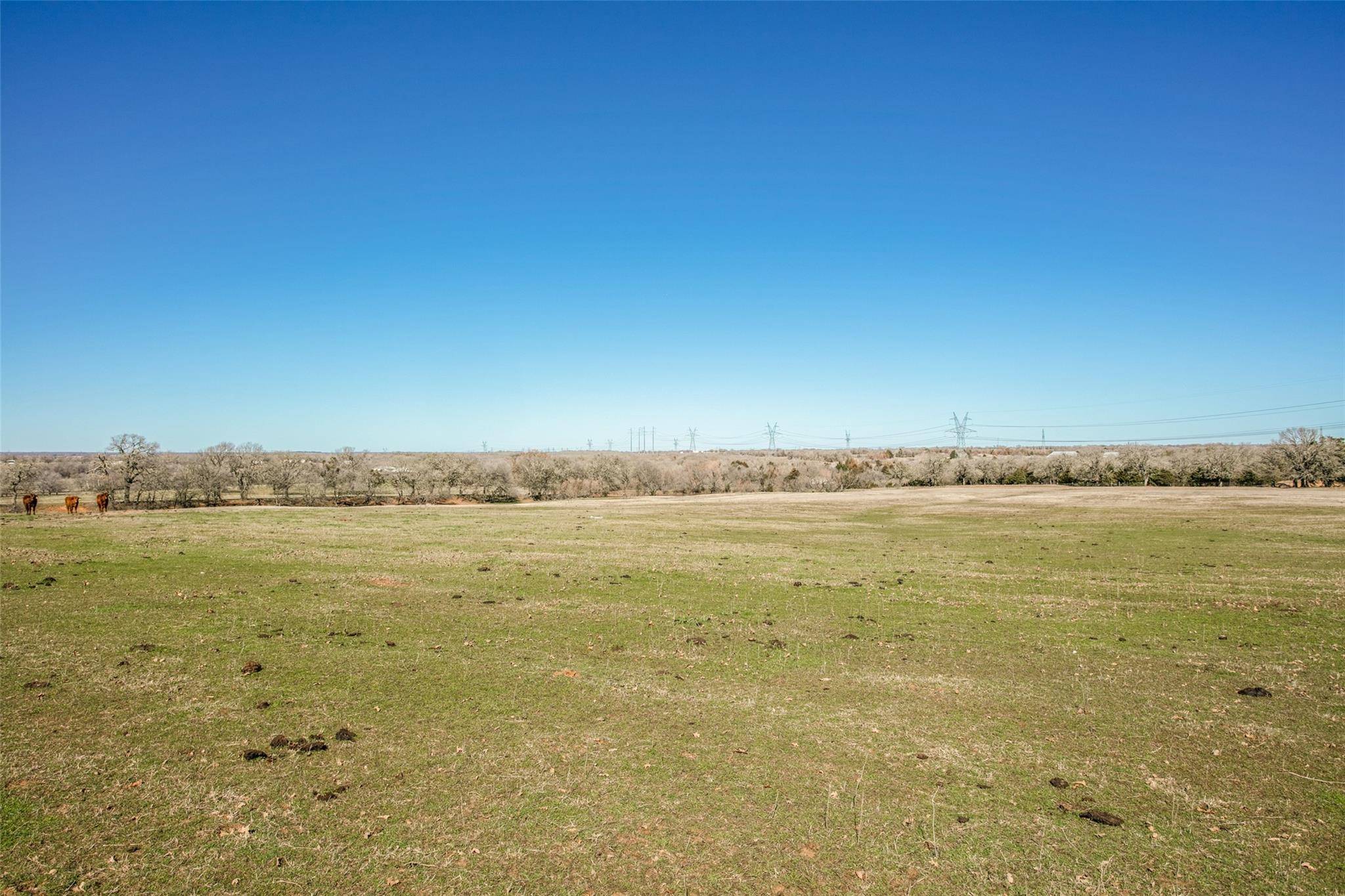 Alvord, TX 76225,TBD County Road 1271