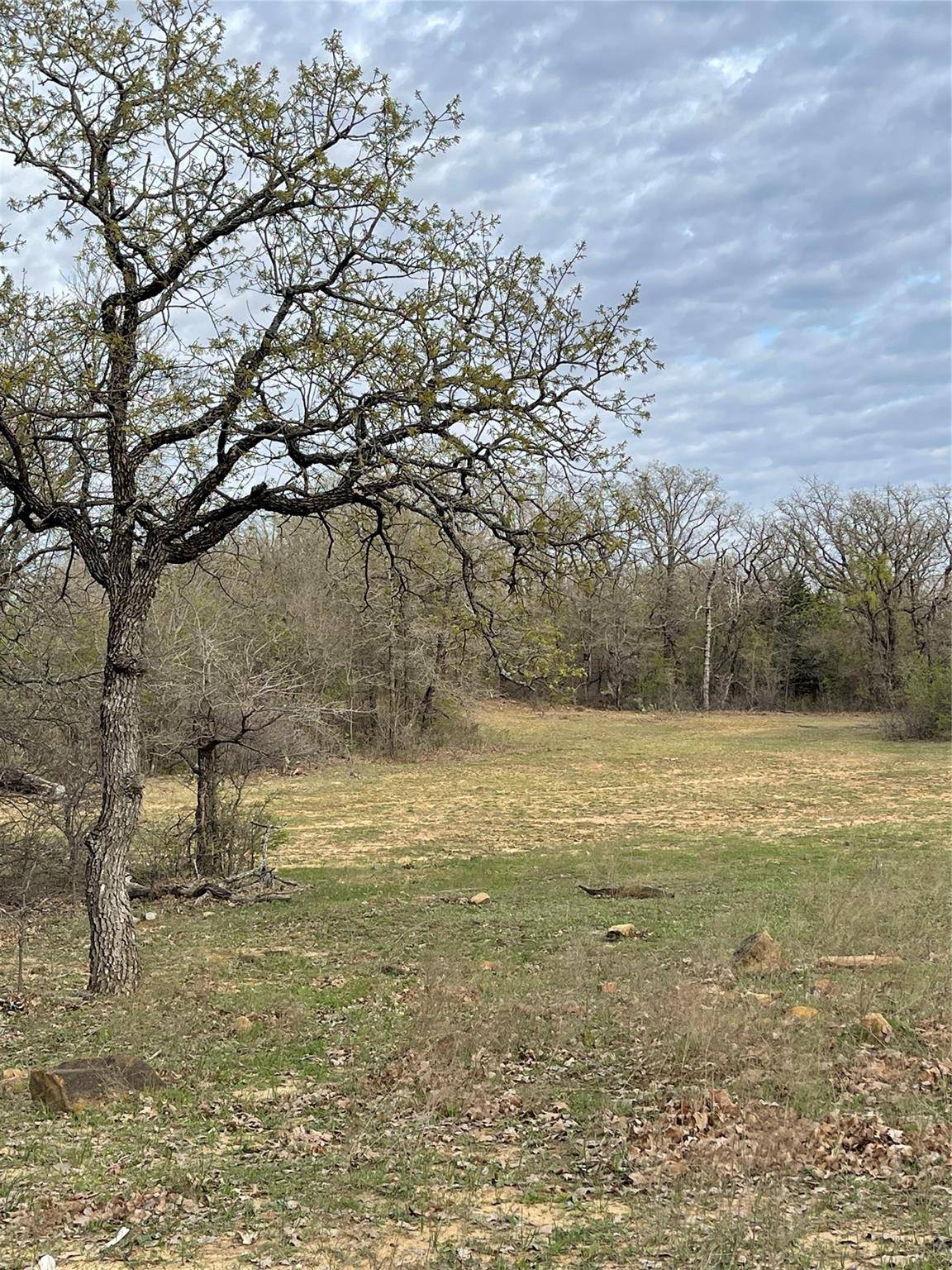 Chico, TX 76431,TBD CR 1744