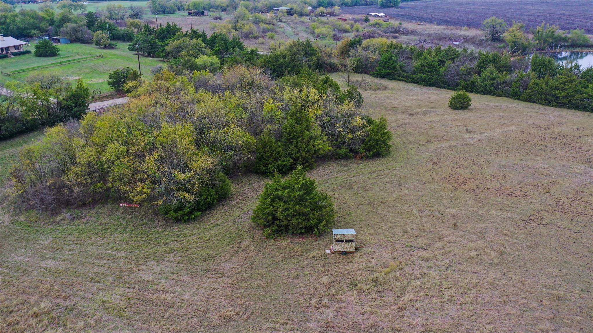 Celeste, TX 75423,10.01 Acres County Rd 1102