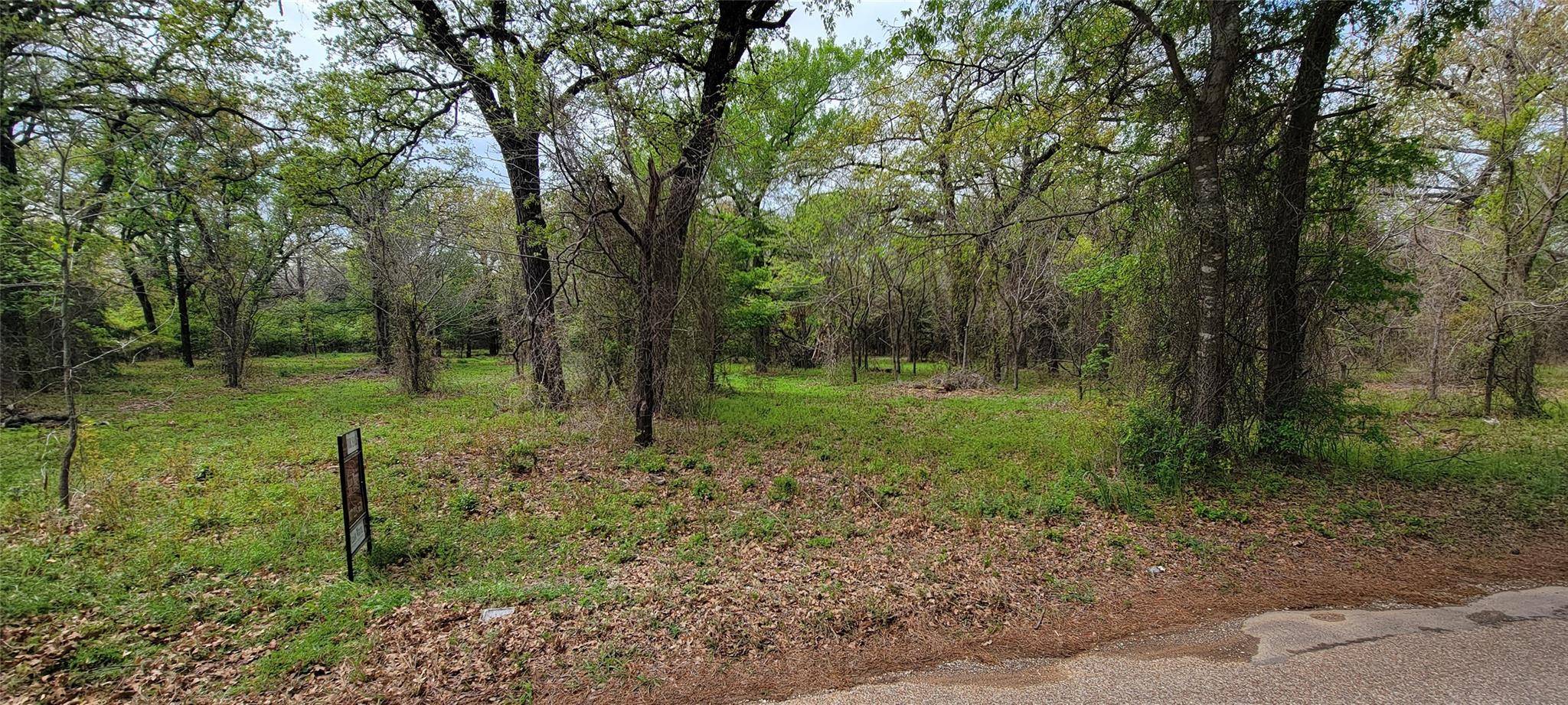 Rio Vista, TX 76093,TBD County Road 1204