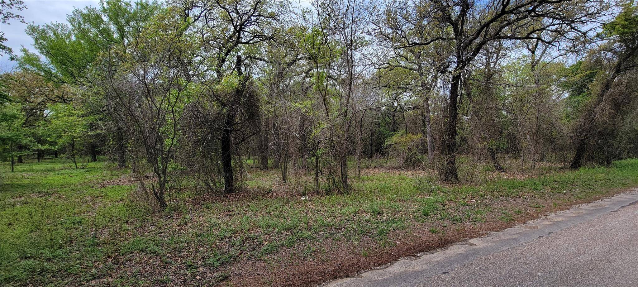 Rio Vista, TX 76093,TBD County Road 1204