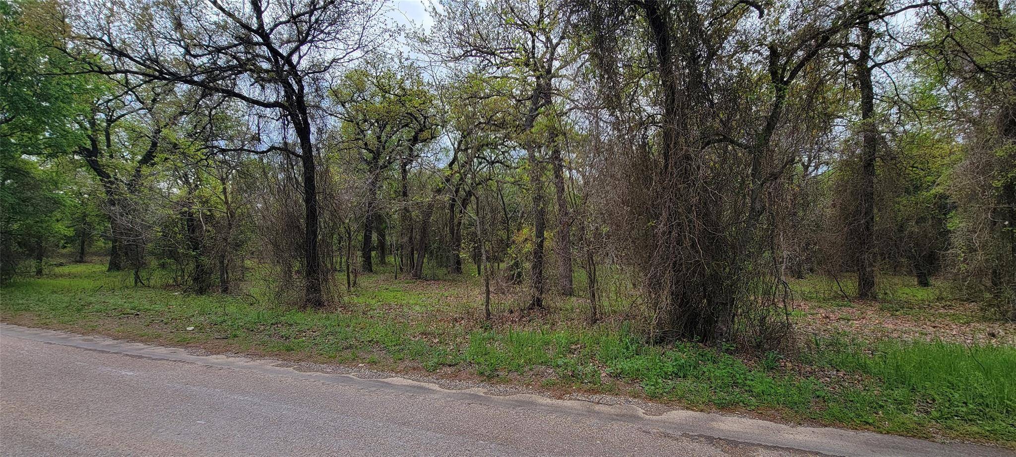 Rio Vista, TX 76093,TBD County Road 1204