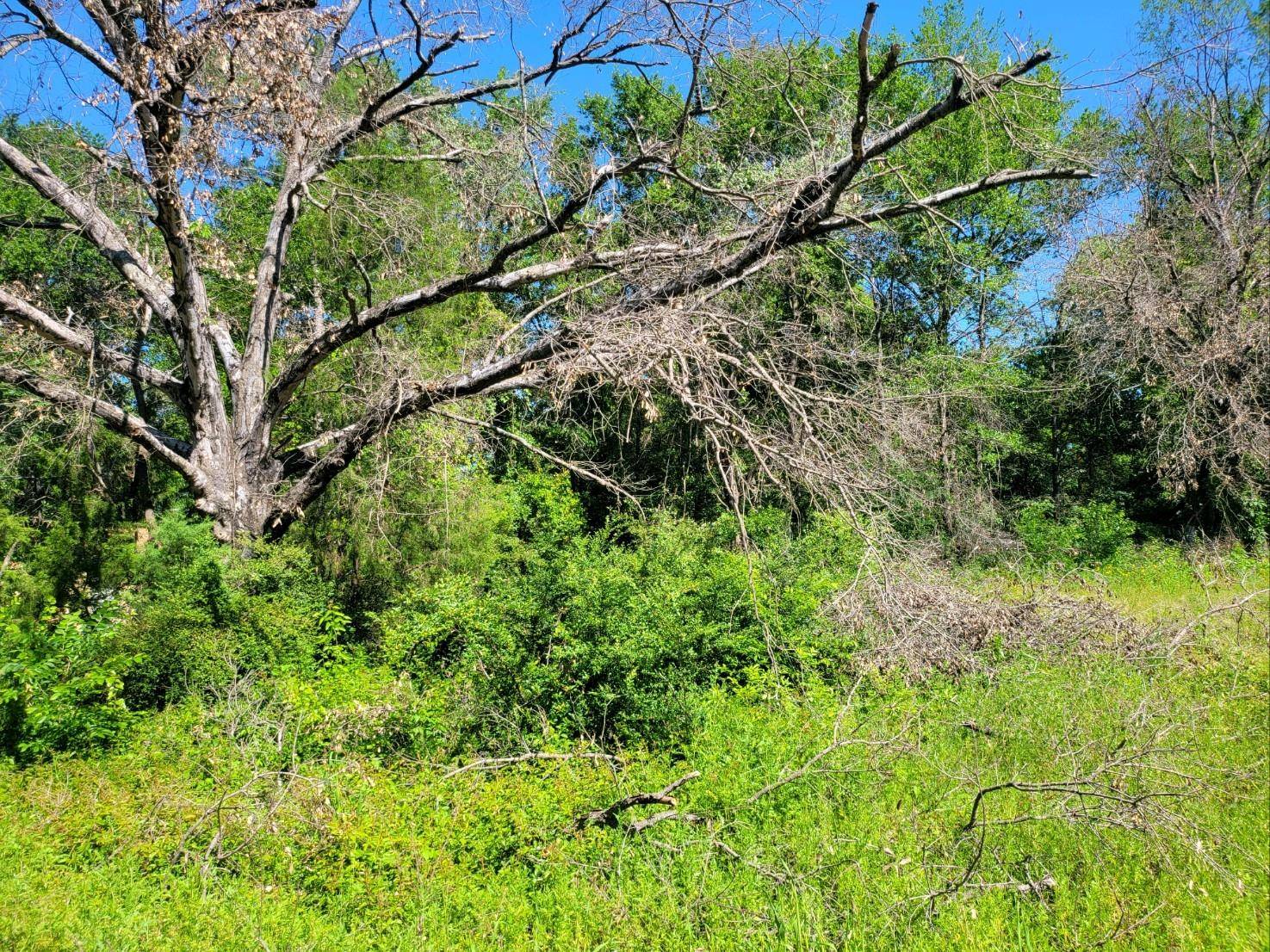 Gun Barrel City, TX 75156,TBD Bluebonnet Drive