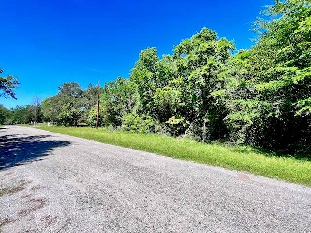 Streetman, TX 75859,Lots 3 & 4 Chelsea Drive