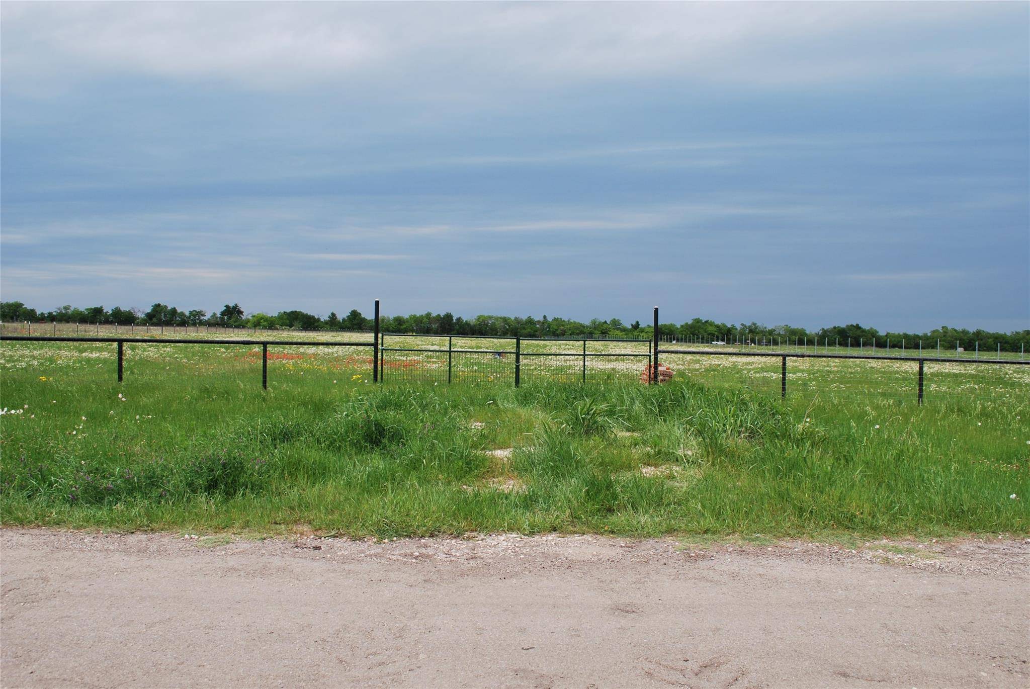 Greenville, TX 75401,Lot 6 County Road 4300