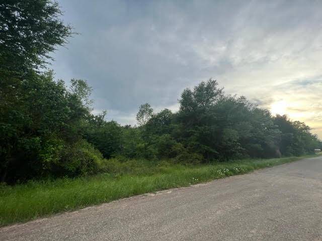 Fairfield, TX 75840,TBD Lot 55 County Road 1260