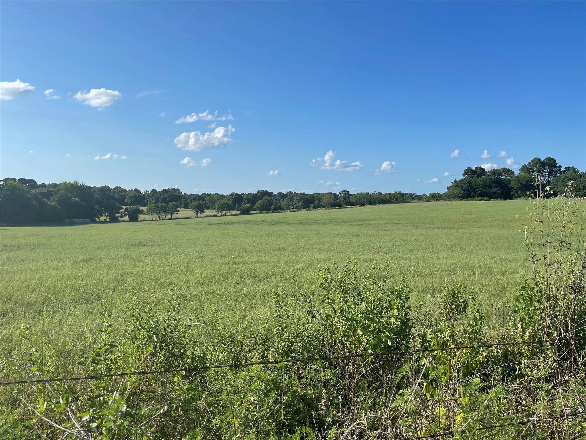 Mineola, TX 75773,14.5+- AC FM 49