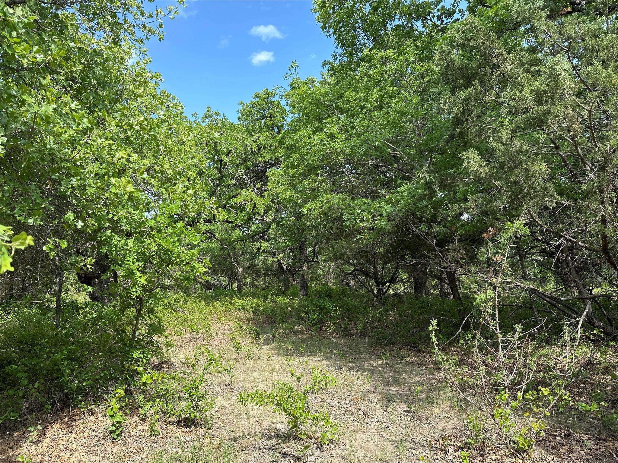 Cisco, TX 76437,TBD Hwy 206