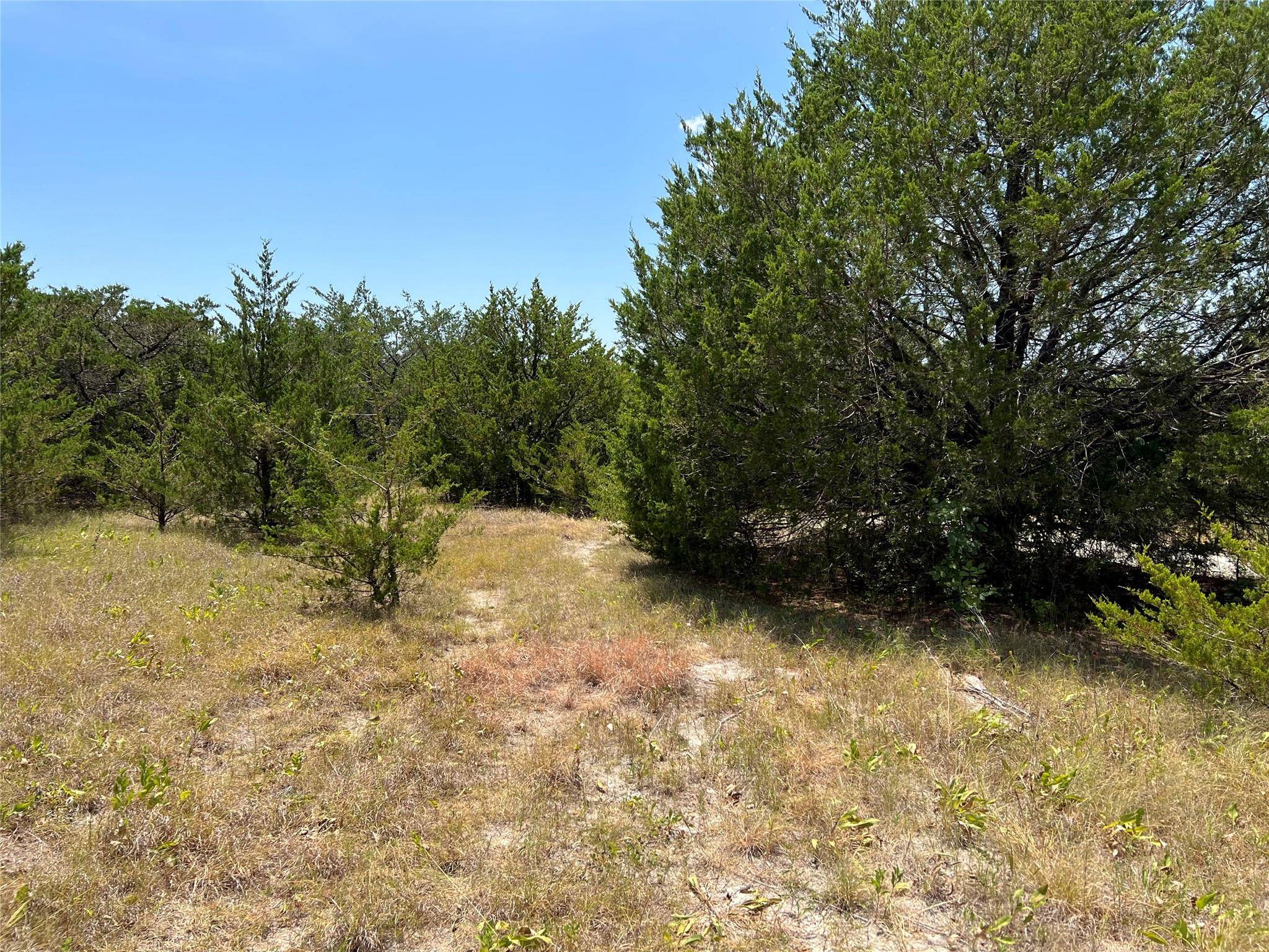 Whitewright, TX 75491,TBD Pilot Grove Road