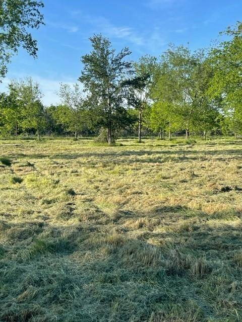 Wortham, TX 76693,TBD Lot C SW County Road 2385