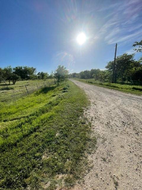 Wortham, TX 76693,TBD Lot C SW County Road 2385