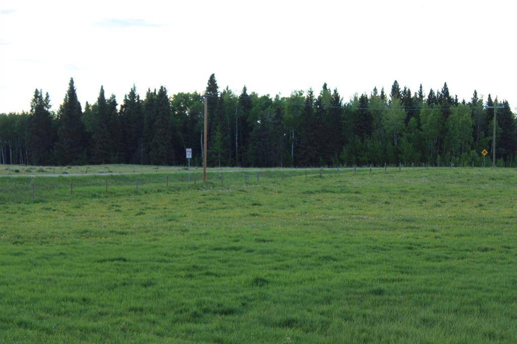 Rural Mountain View County, AB T0M 1X0,On Range Road 4.5