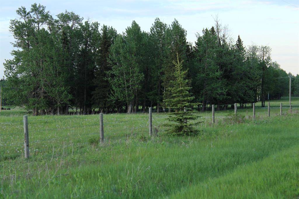 Rural Mountain View County, AB T0M 1X0,On Range Road 4.5