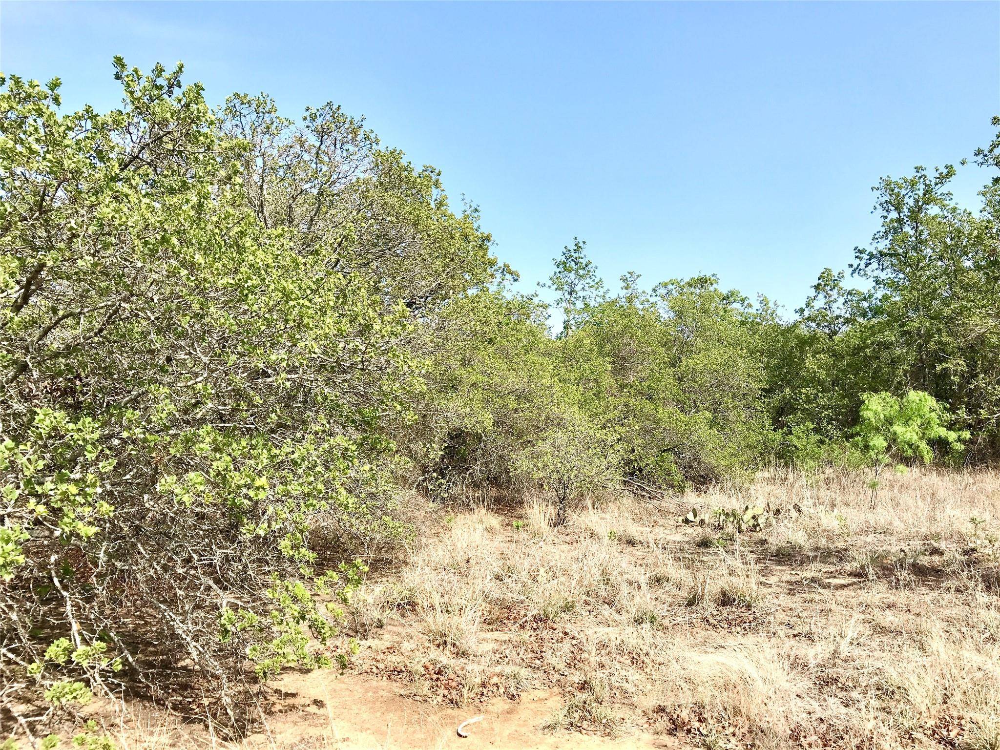 Cross Plains, TX 76443,TBD -80 County Road 414