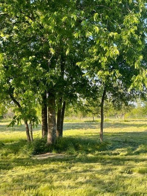 Wortham, TX 76693,TBD Lot B SW County Road 2385