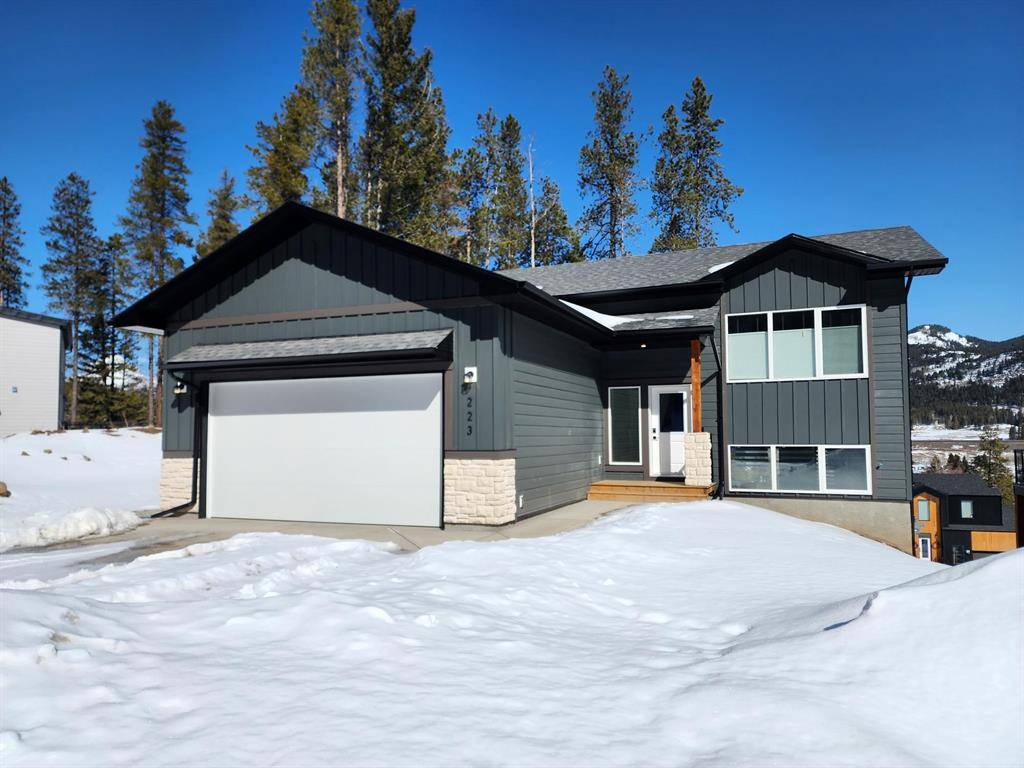 Blairmore, AB T0K 0E0,223 Southmore PL