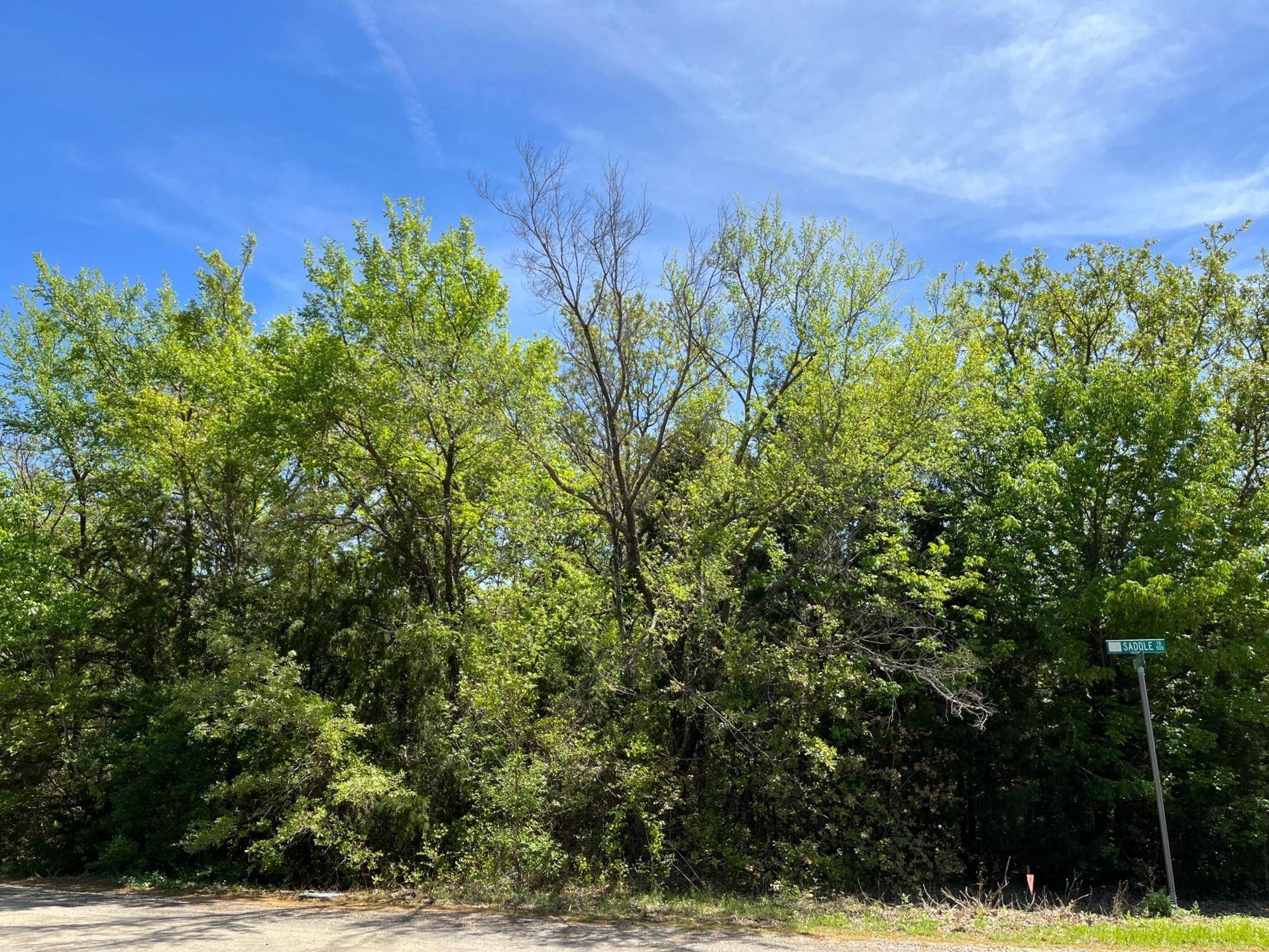 Oak Point, TX 75068,Lot 391 Bronco Trail & Saddle Trail