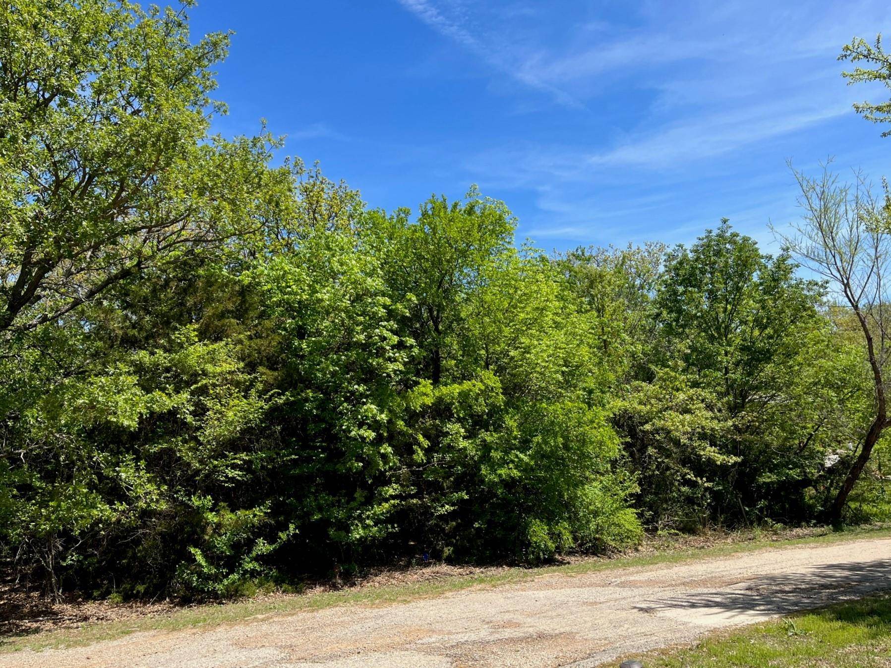 Oak Point, TX 75068,Lot 391 Bronco Trail & Saddle Trail