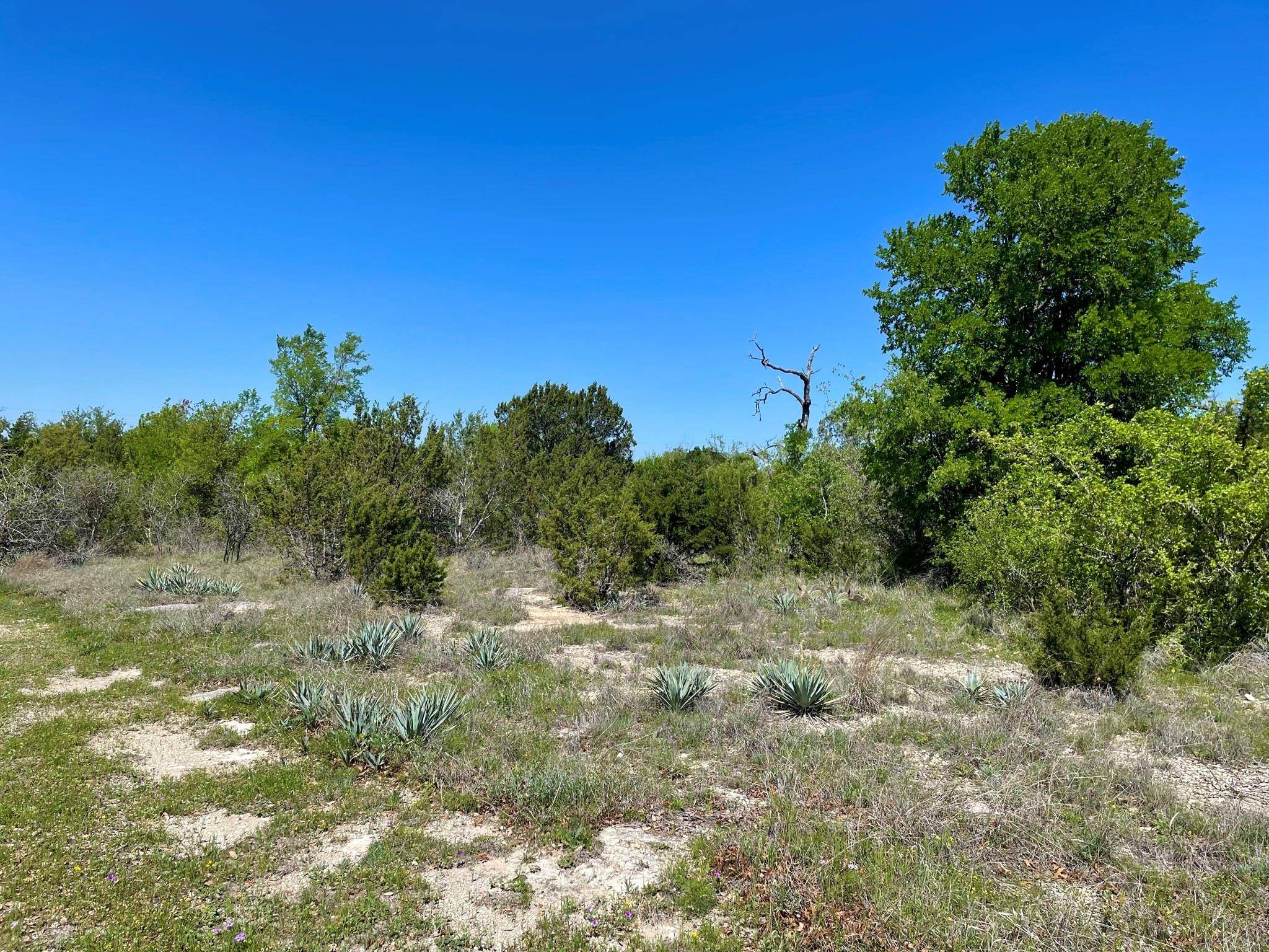 Bluff Dale, TX 76433,T472R Mariner Valley