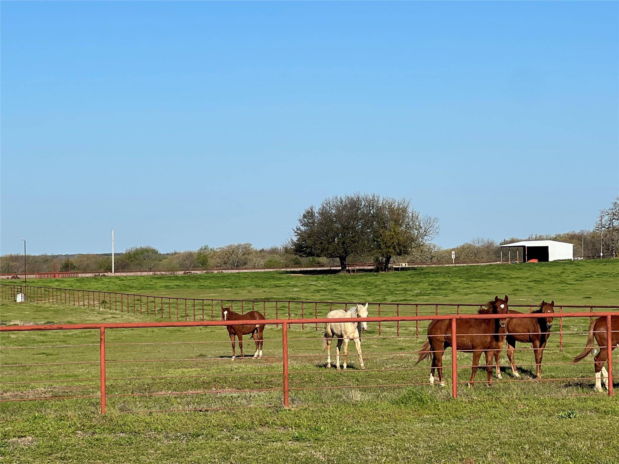 Collinsville, TX 76233,TBD (1) US HWY 377