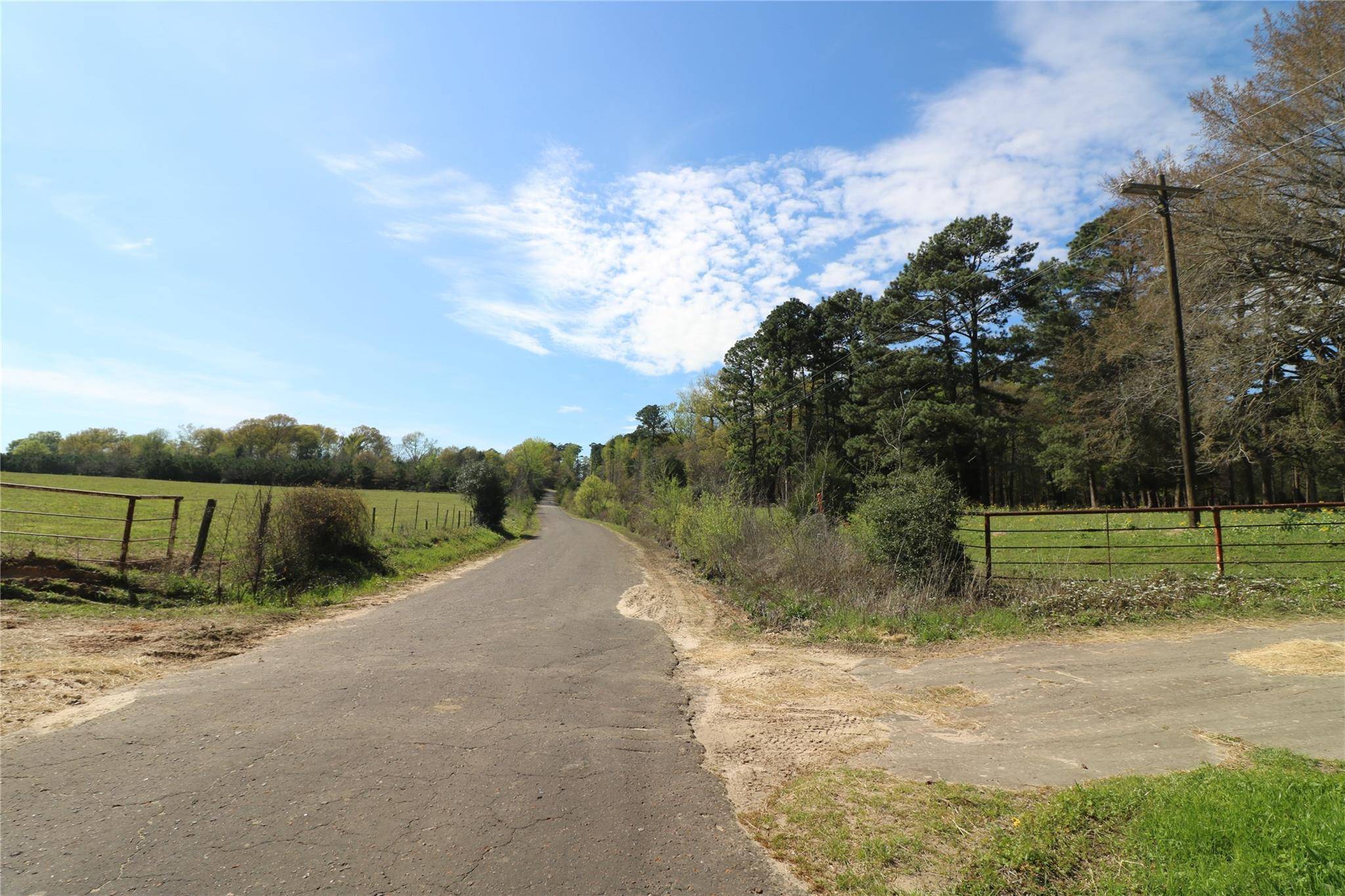 Gilmer, TX 75644,TBD Holly Road, Tract 3-30+/- Acres