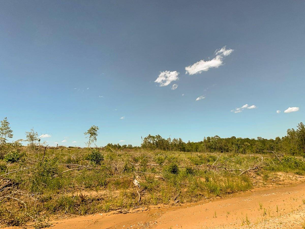 Colmesneil, TX 75938,000000 CR 3910