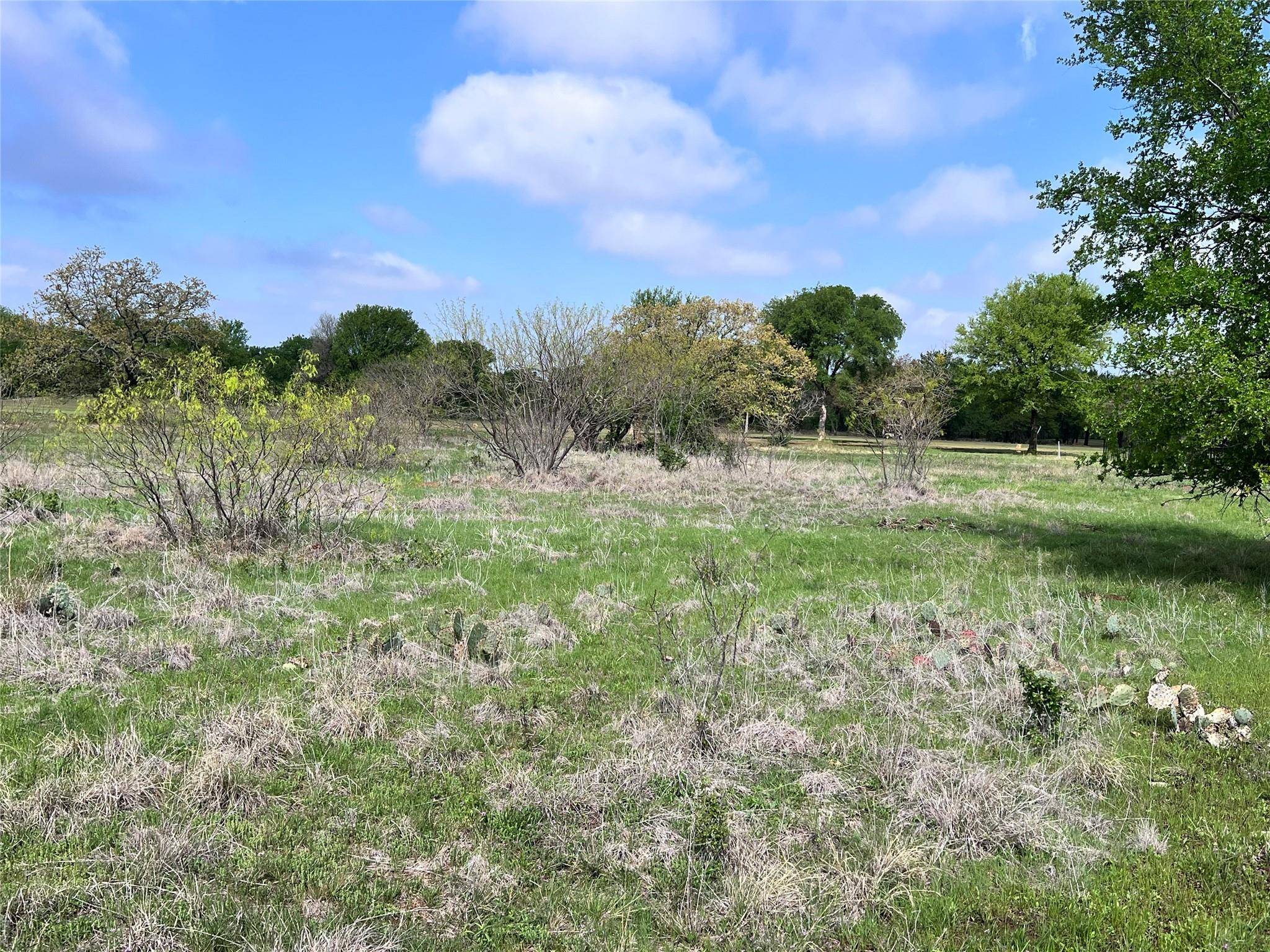 Brownwood, TX 76801,TBD Safe Harbor Drive