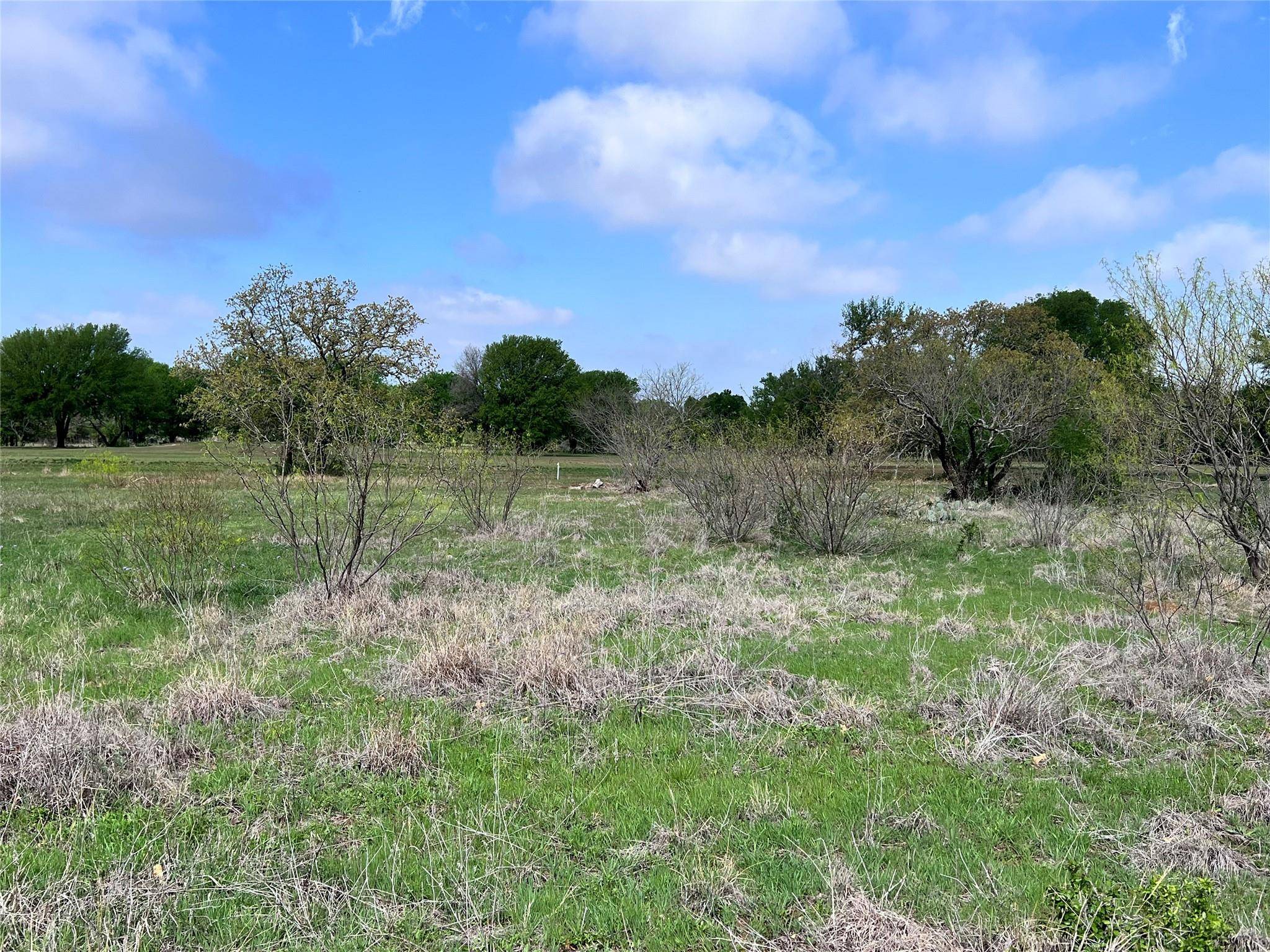 Brownwood, TX 76801,TBD Safe Harbor Drive