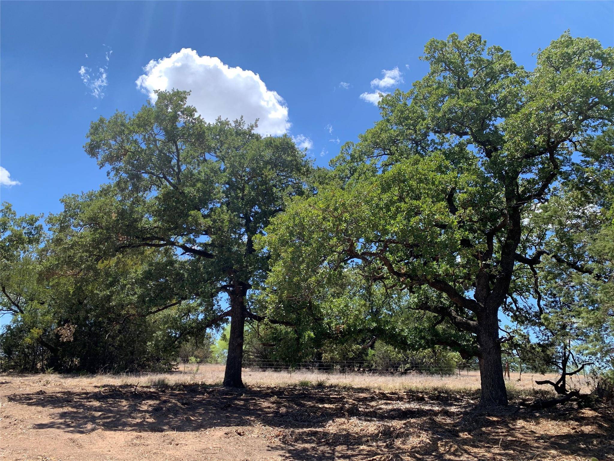 Glen Rose, TX 76043,1272 Rolling Hills Trail