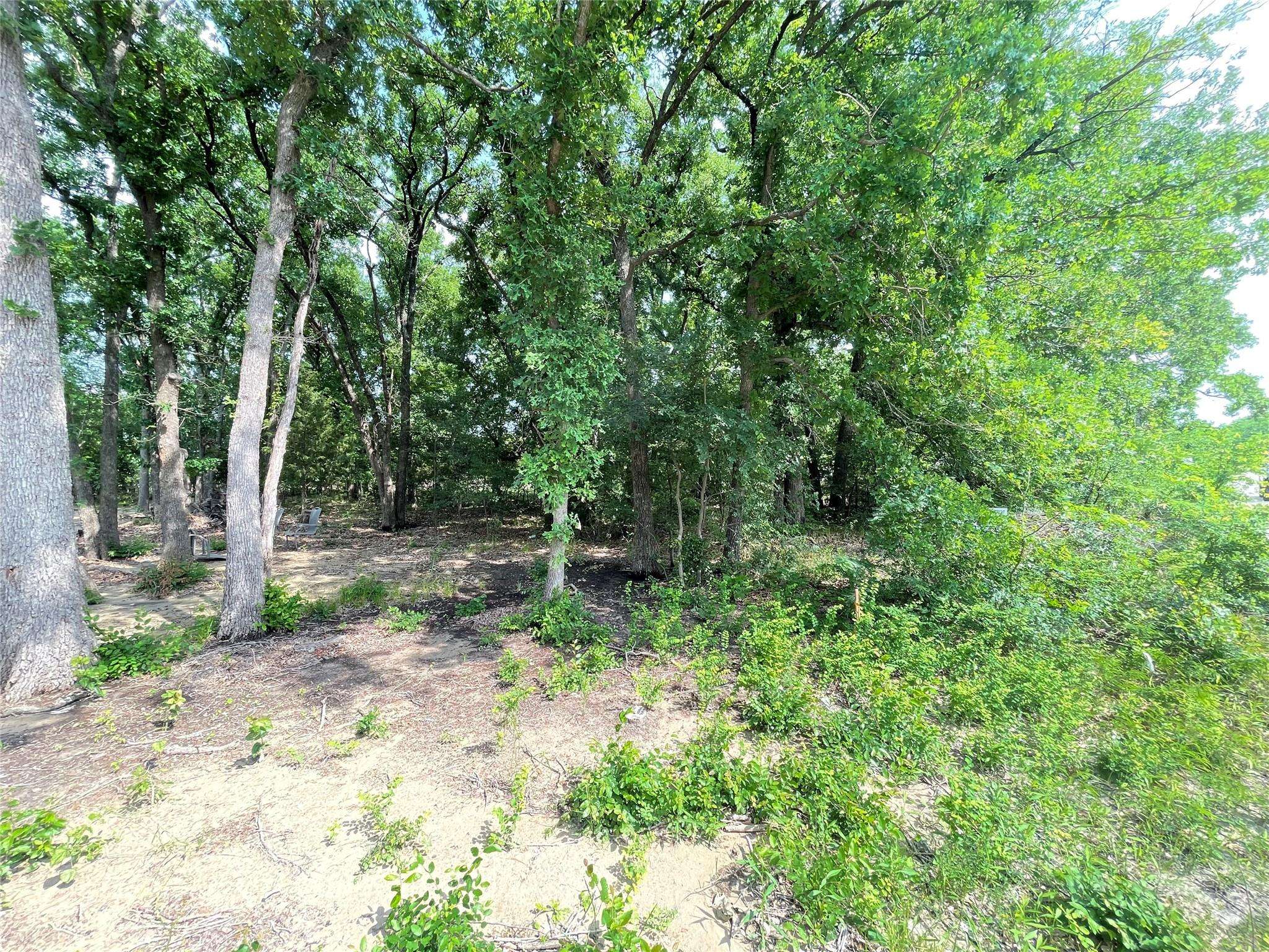 West Tawakoni, TX 75474,Lot 1KC Dover Drive