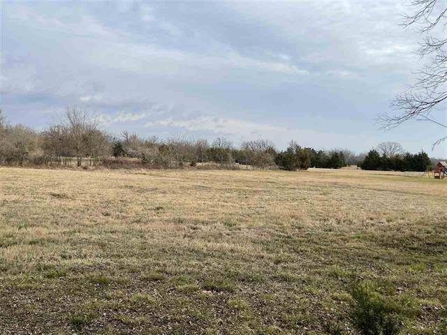 Blossom, TX 75416,45800 County Road