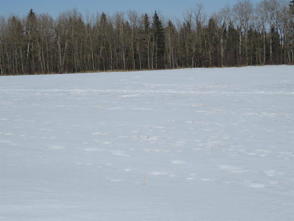 Rural Lacombe County, AB T4L 1N1,On Highway 771