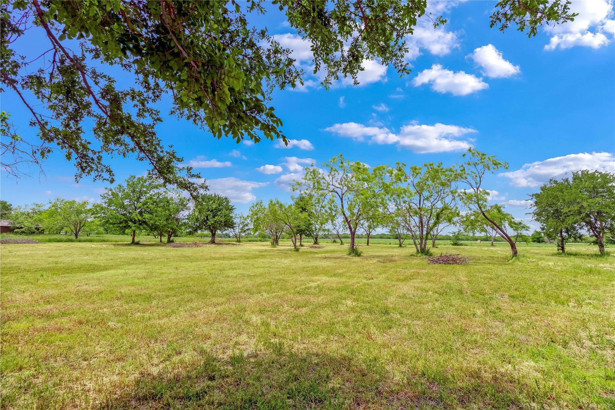 Quinlan, TX 75474,TBD Buckthorn Drive