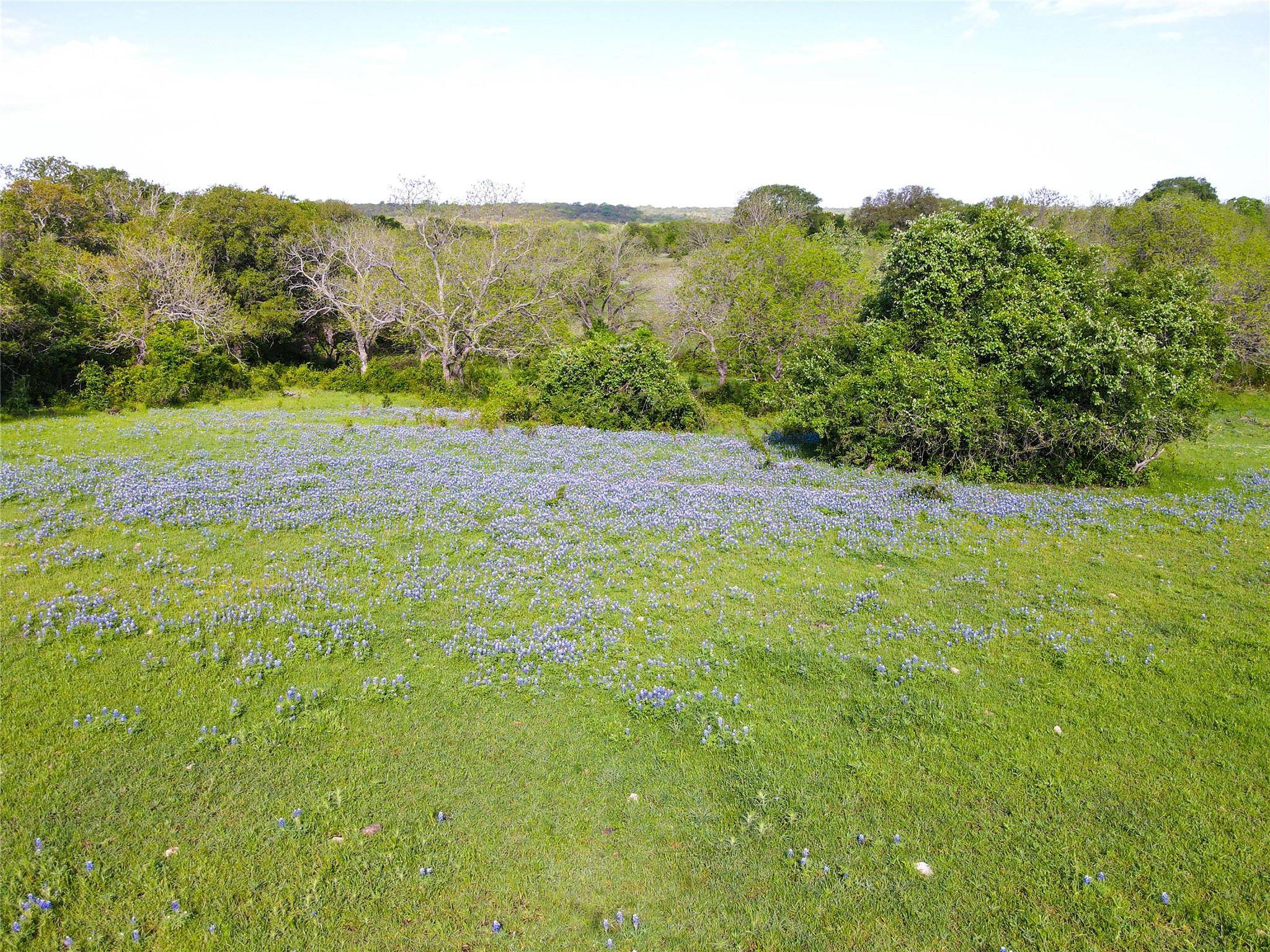 Gatesville, TX 76528,TBD-3 CR 356