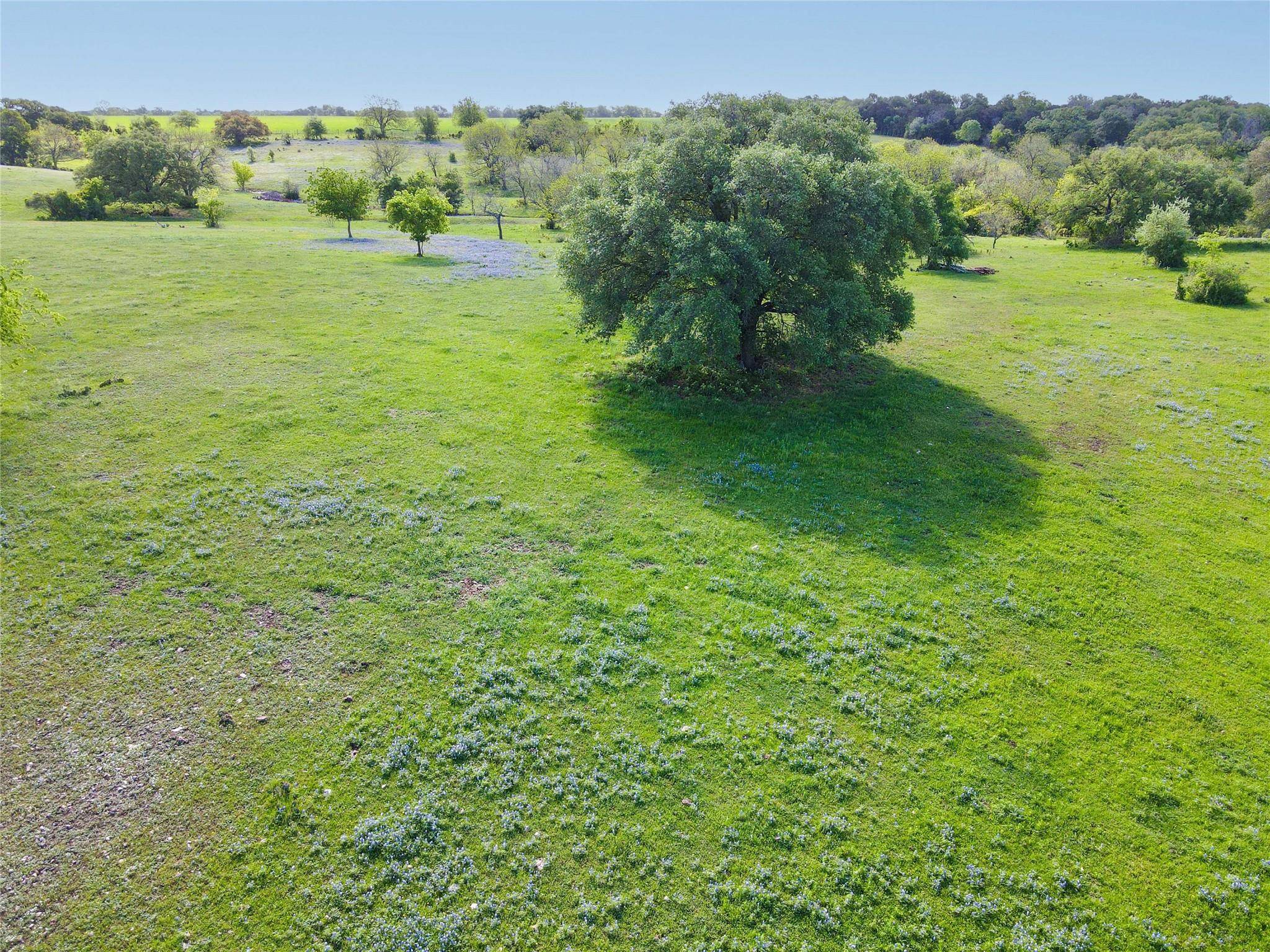 Gatesville, TX 76528,TBD-3 CR 356