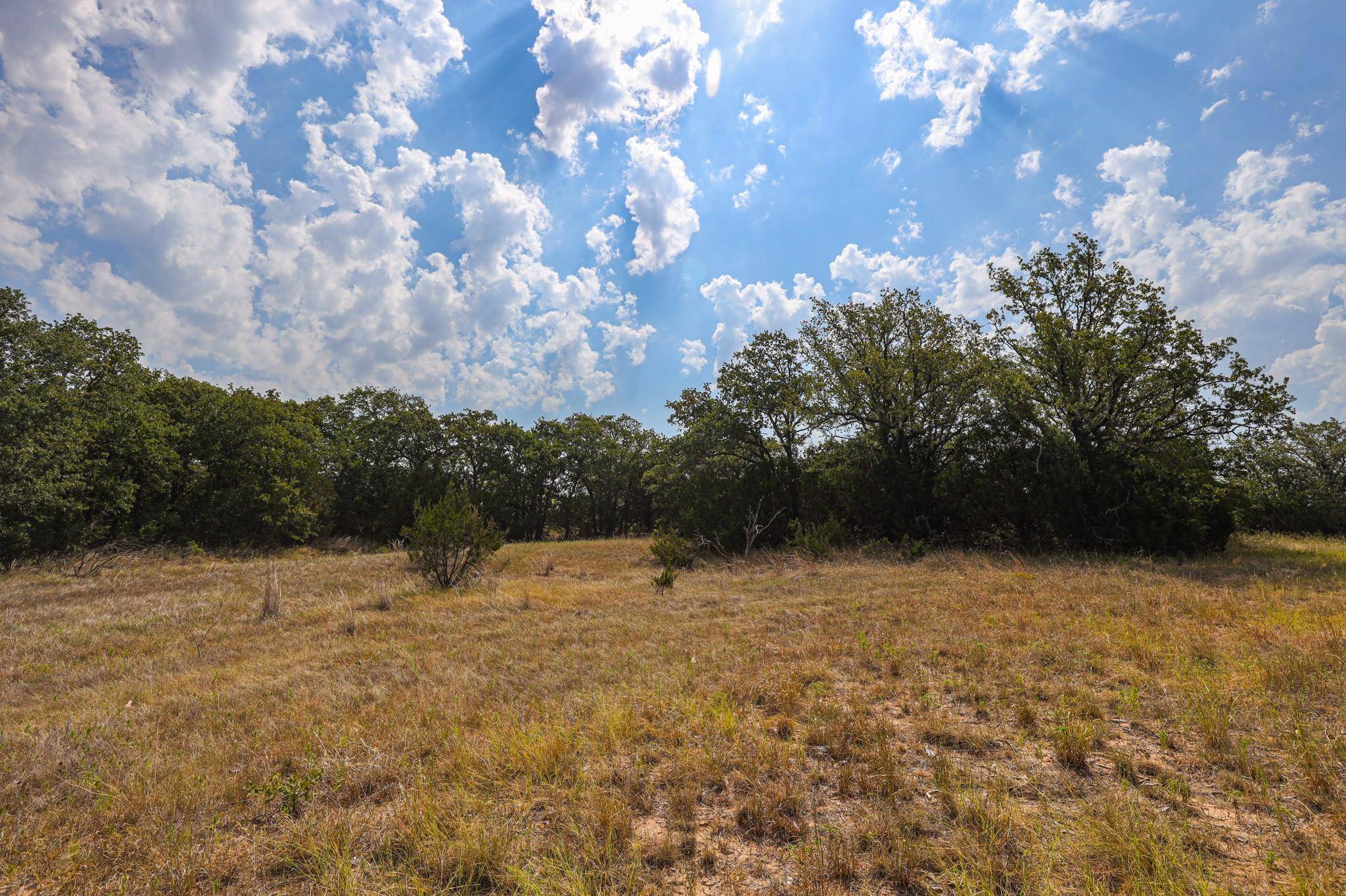 Poolville, TX 76487,Lot 25 Leo Lane