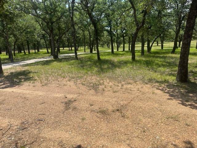 Millsap, TX 76066,1461 S Fm 113