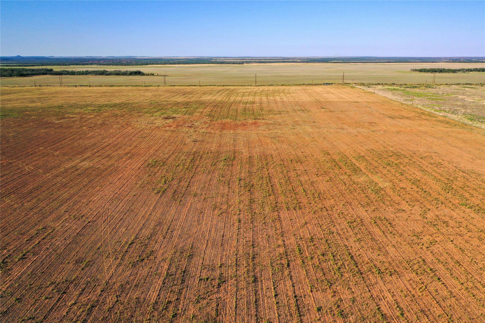 O'brien, TX 79539,TBD County Road 196 Road