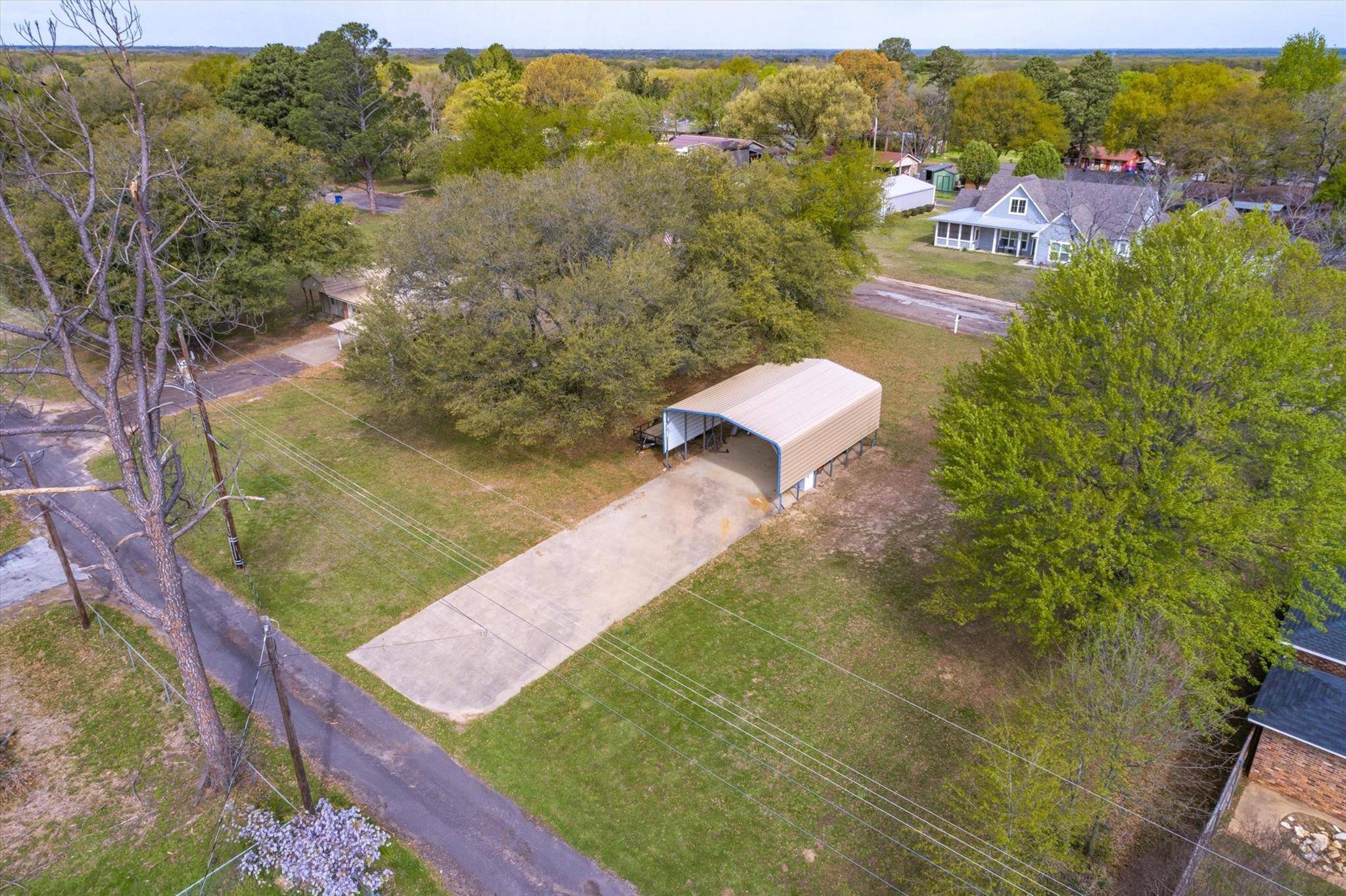 Grand Saline, TX 75140,Lot 3 Monte Carlo