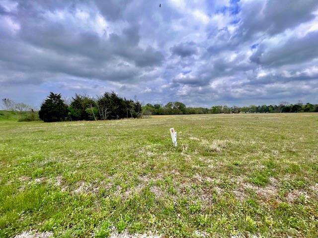 Corsicana, TX 75109,Lot 59 Grandview Drive