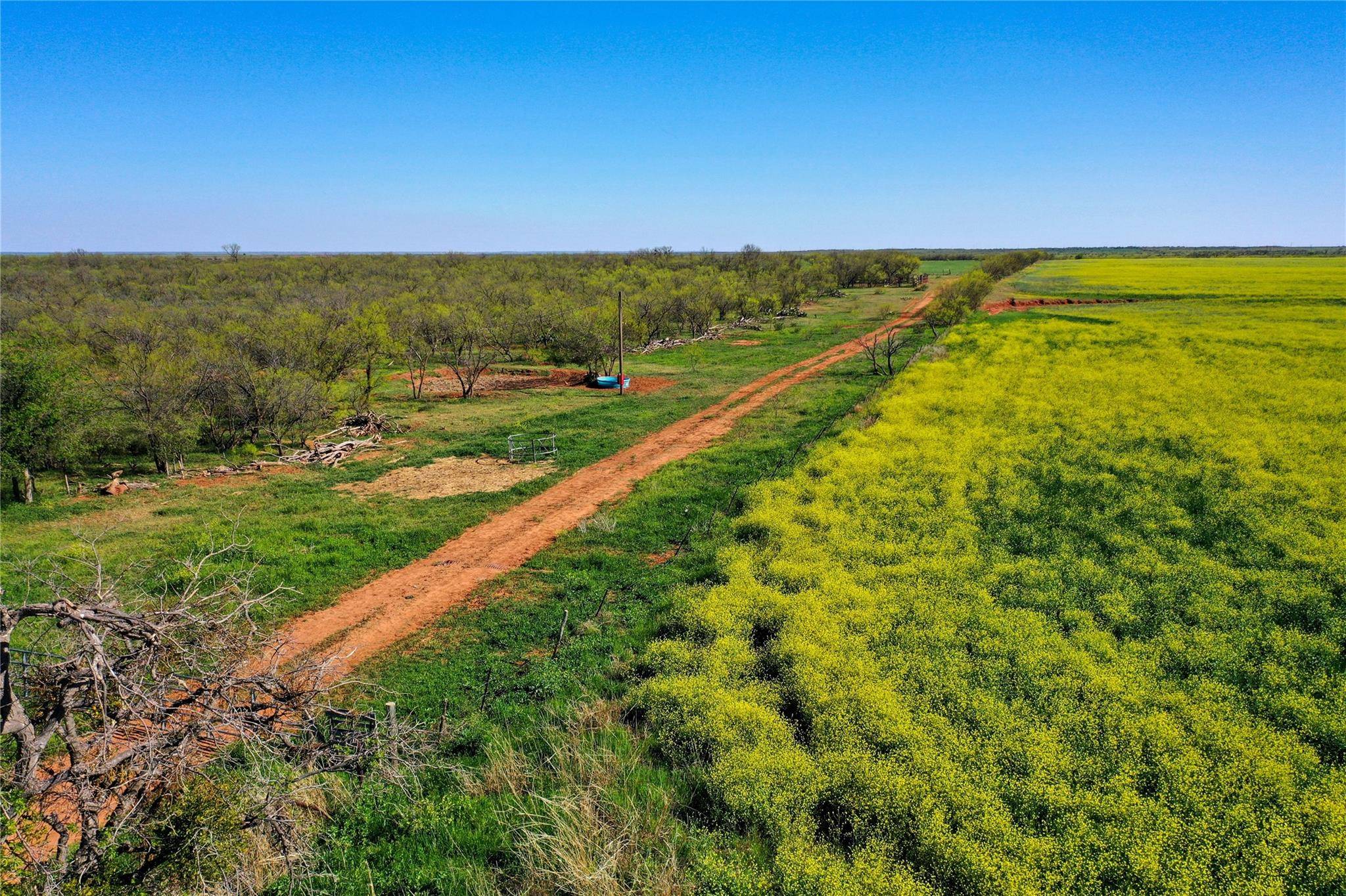 Haskell, TX 79521,TBD Wheatley Road