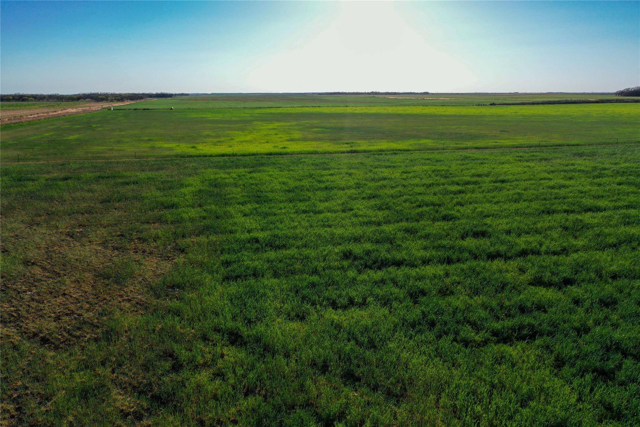 O'brien, TX 79539,TBD CR 184