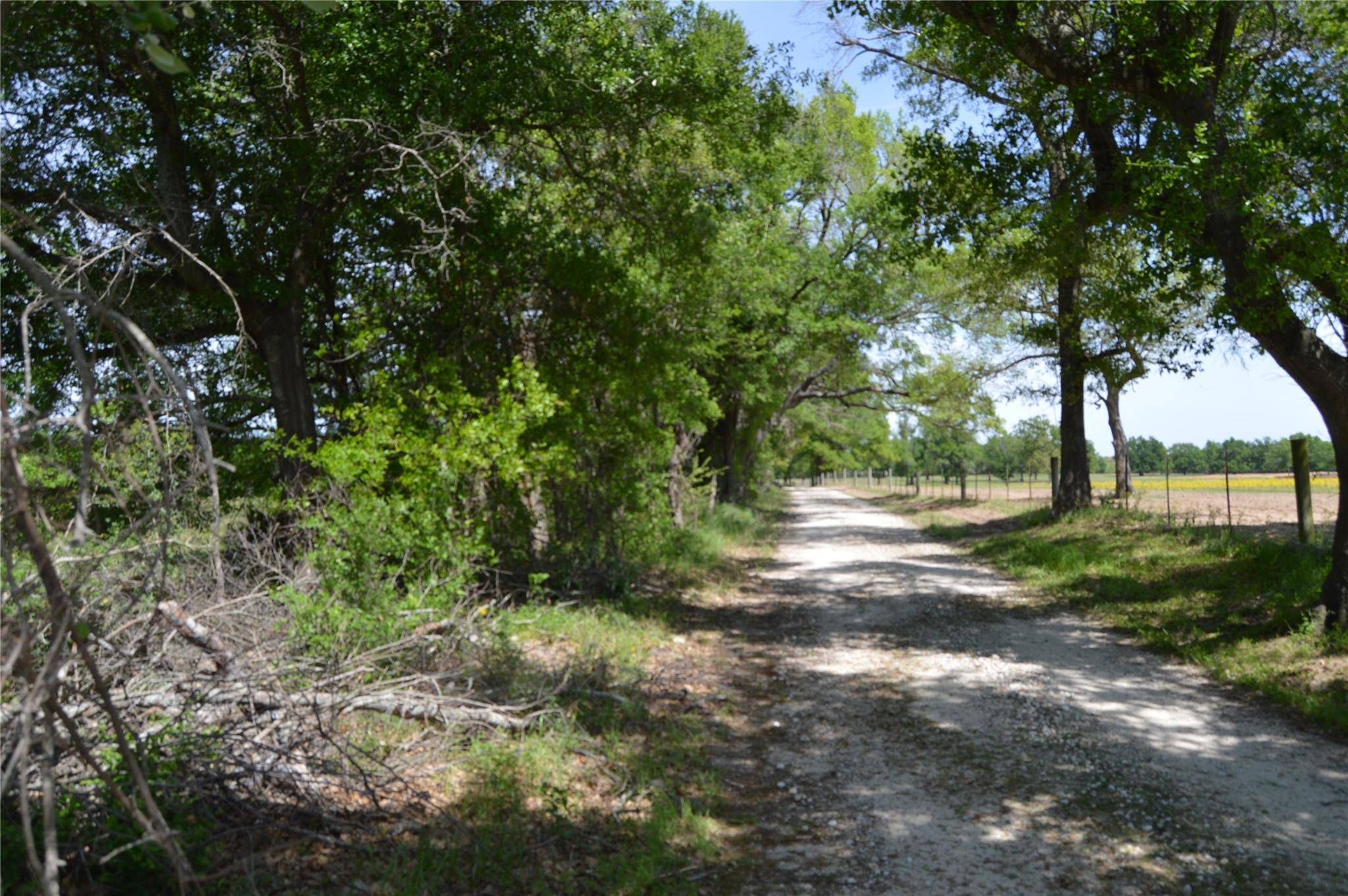 Groesbeck, TX 76642,TBD LCR 771