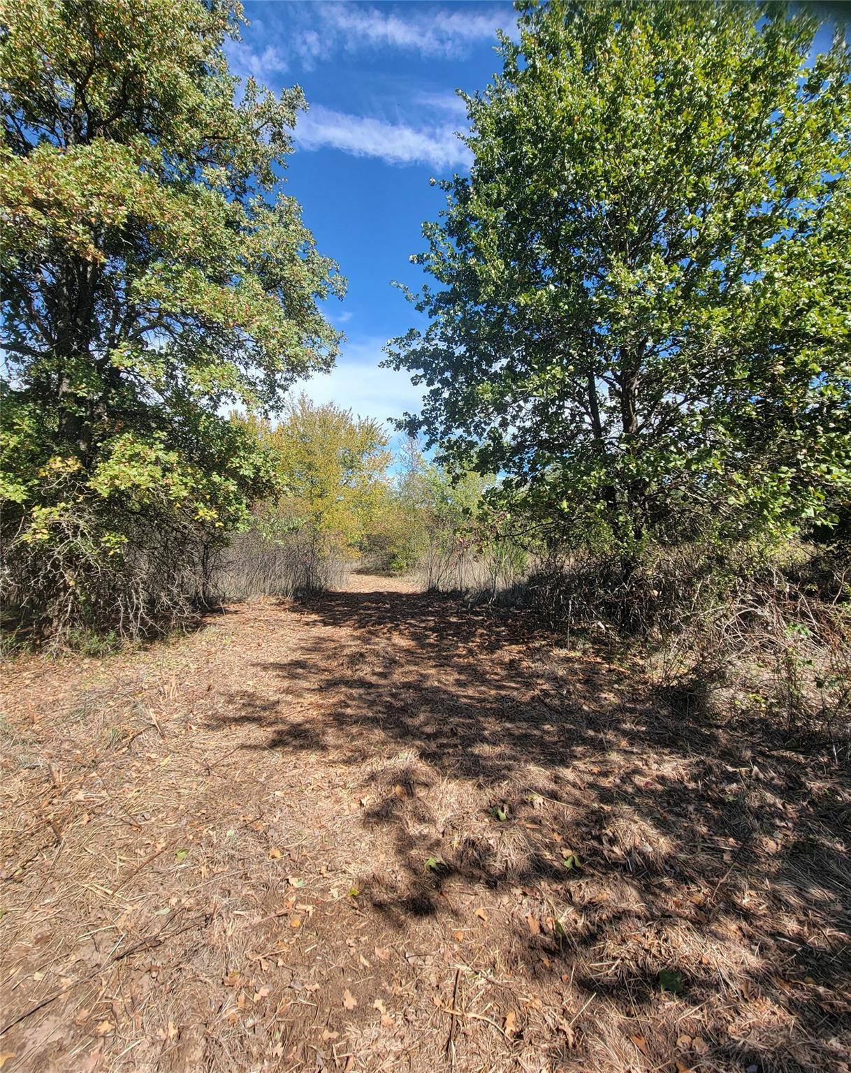 Azle, TX 76020,TBD Lot 1 Phillips Drive