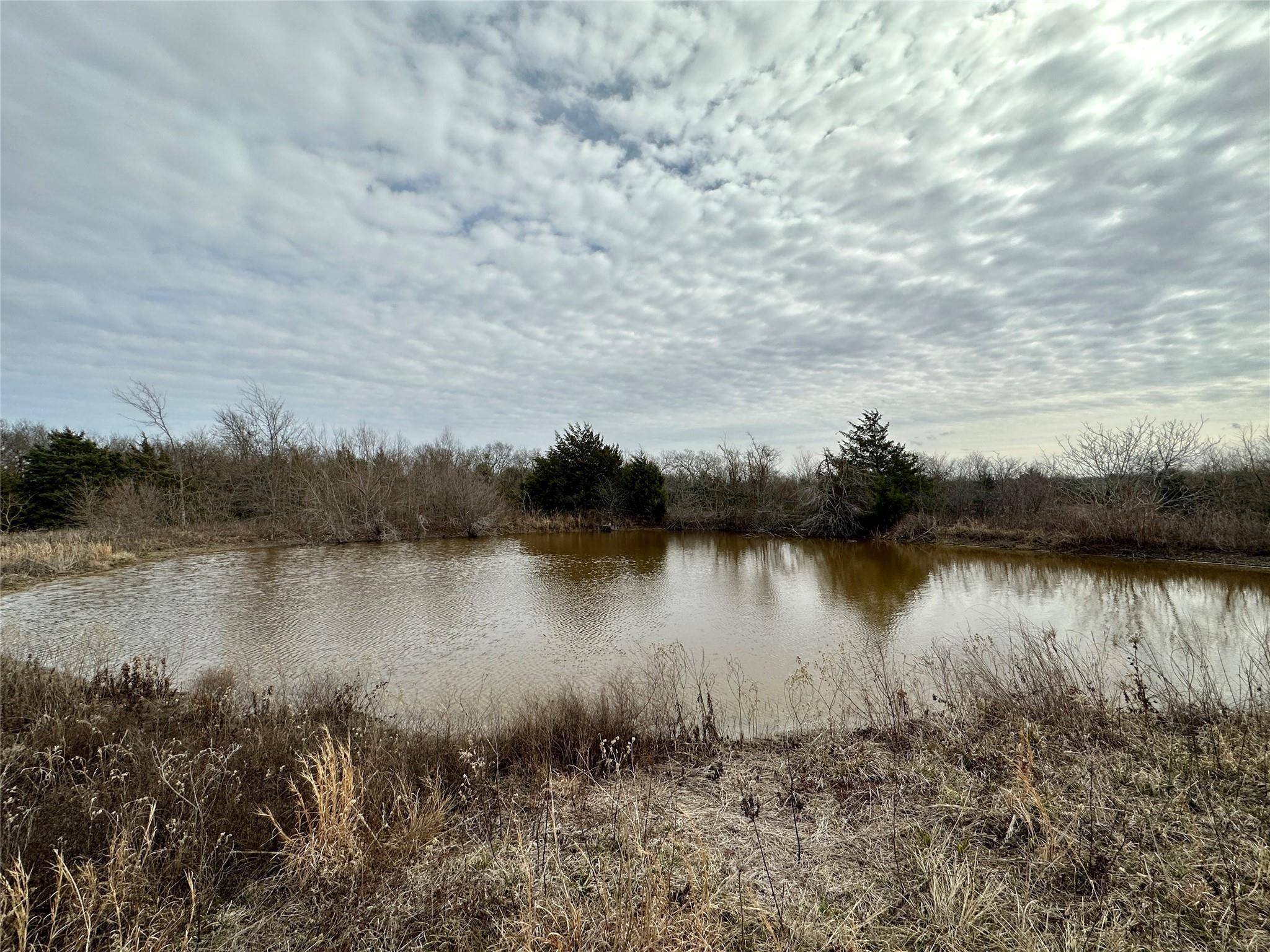 Sulphur Springs, TX 75482,49ac County Road 4754