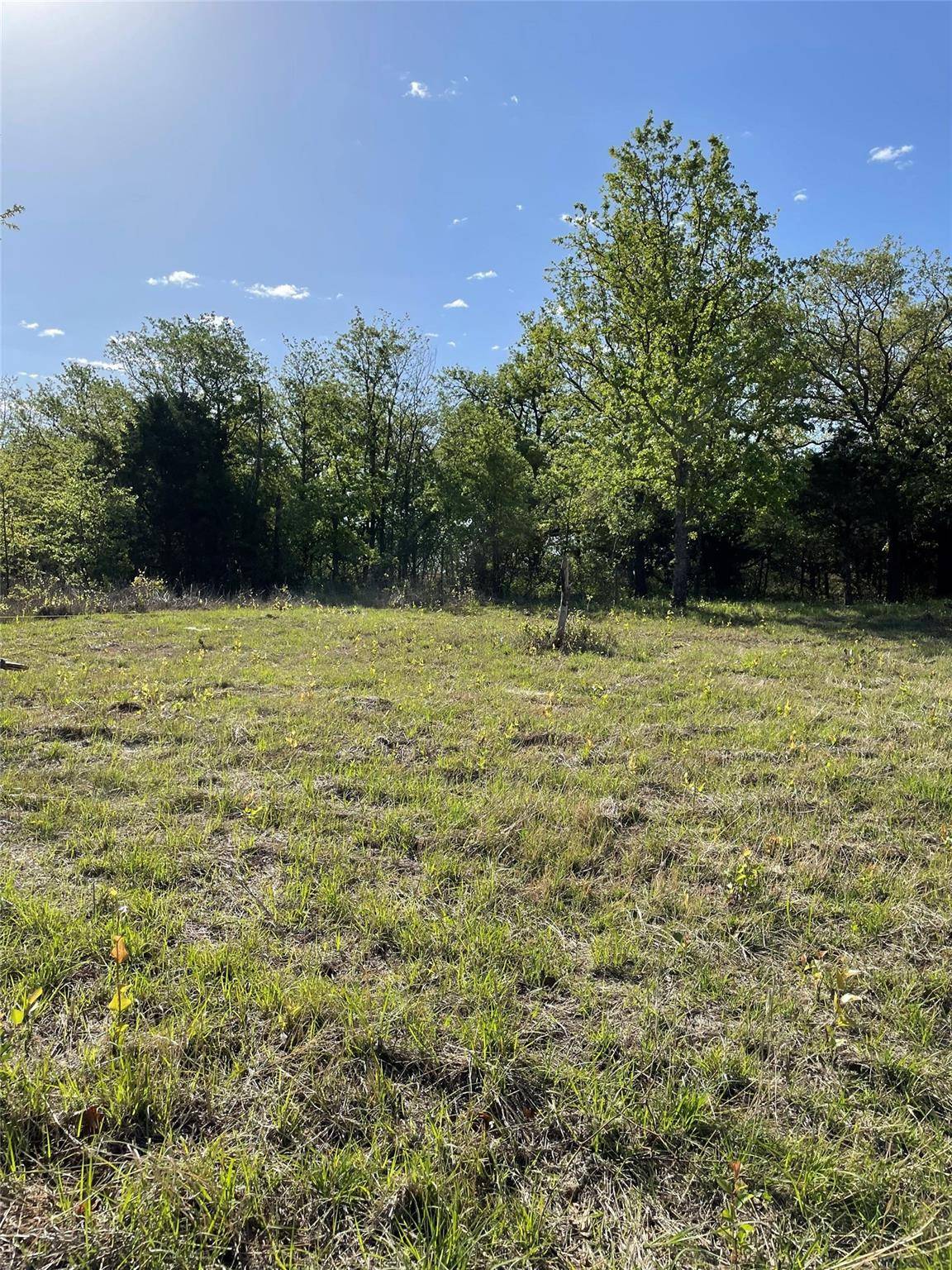 Paradise, TX 76073,456 CR 3791 Road